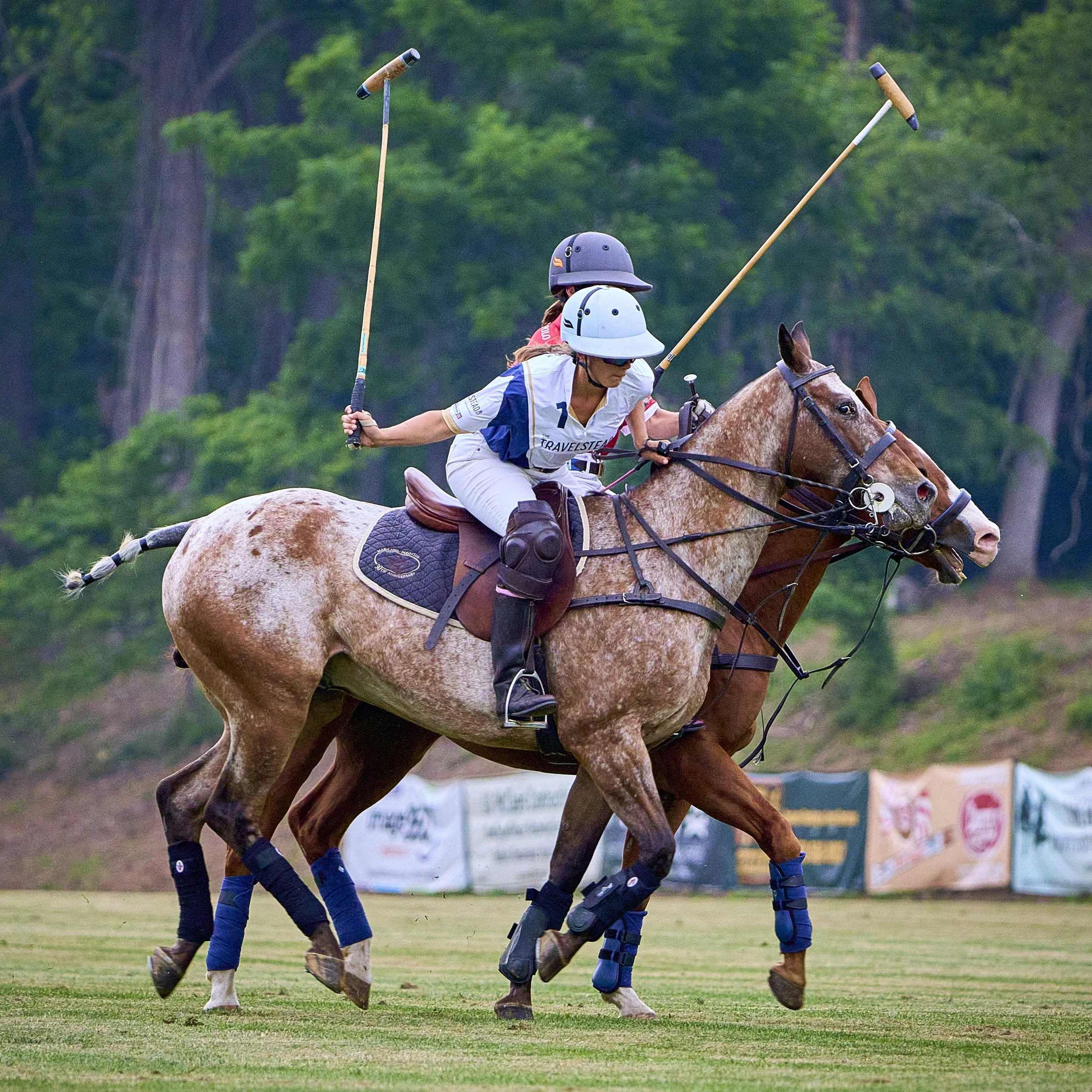 MS-My Lady's Manor Steeplechase Exhibition 6-14-25 160.jpg
