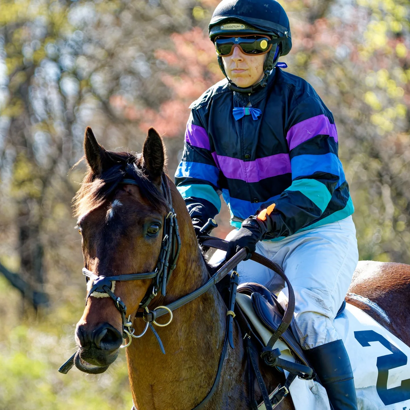 A jockey riding a brown horse outdoors, wearing a black helmet, sunglasses, and a colorful striped jacket.