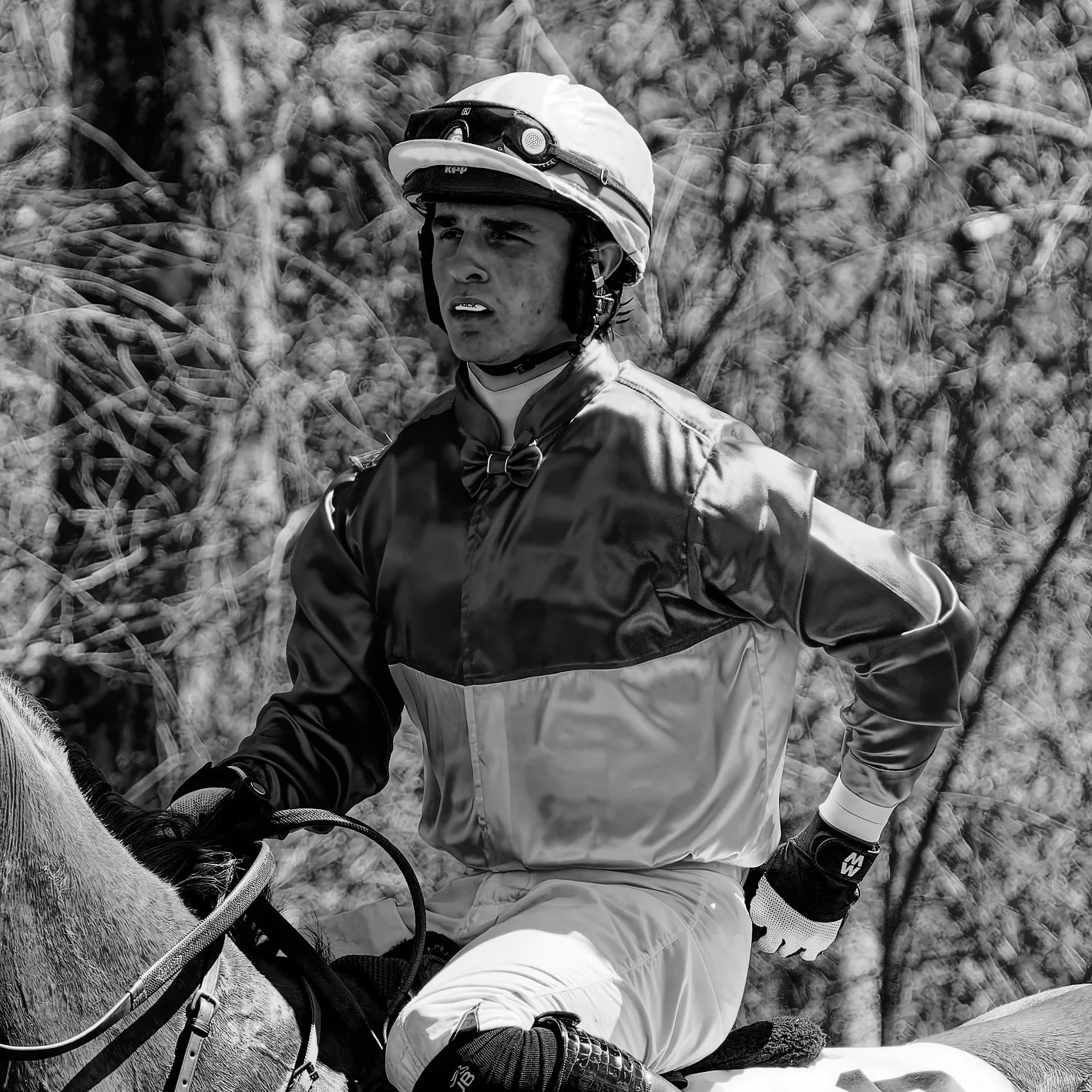 A jockey wearing a helmet and racing silks sitting on a horse with a background of blurred foliage.