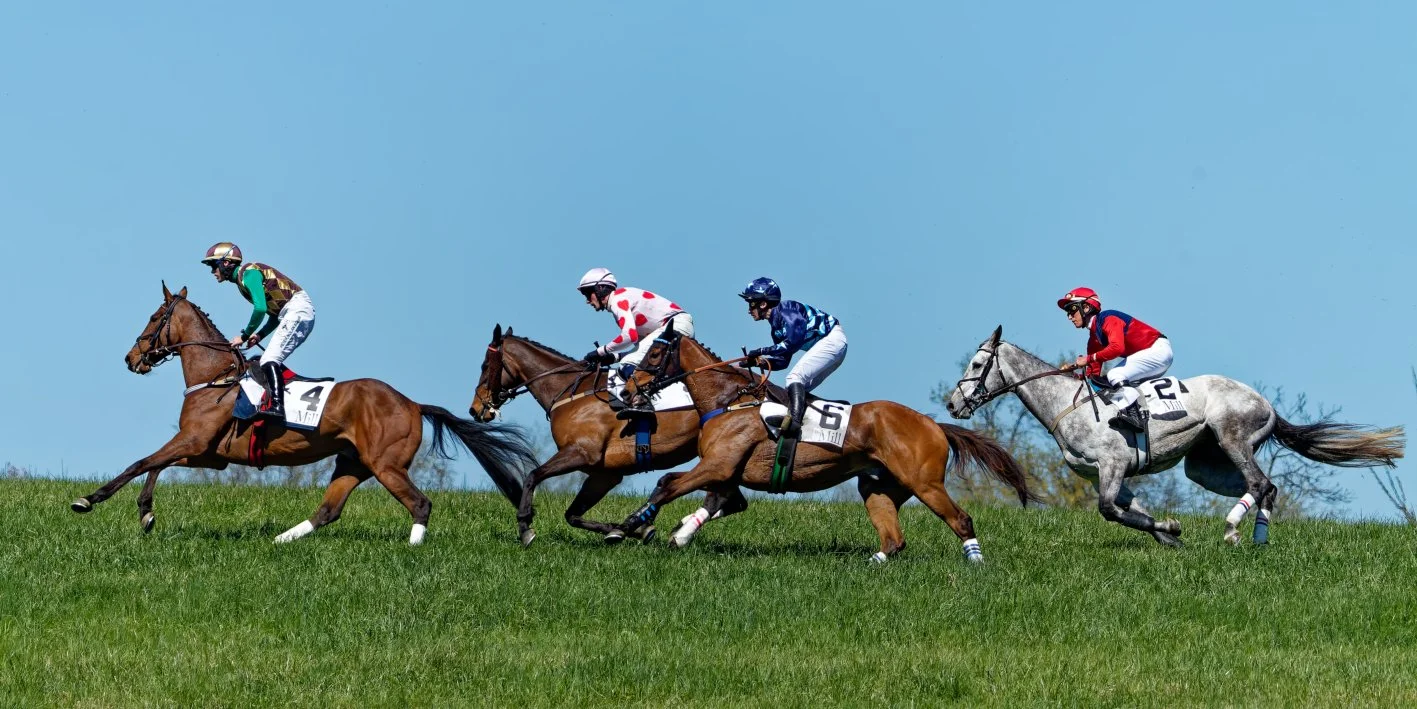 Four jockeys riding their horses during a horse race on a grassy track under a clear blue sky.