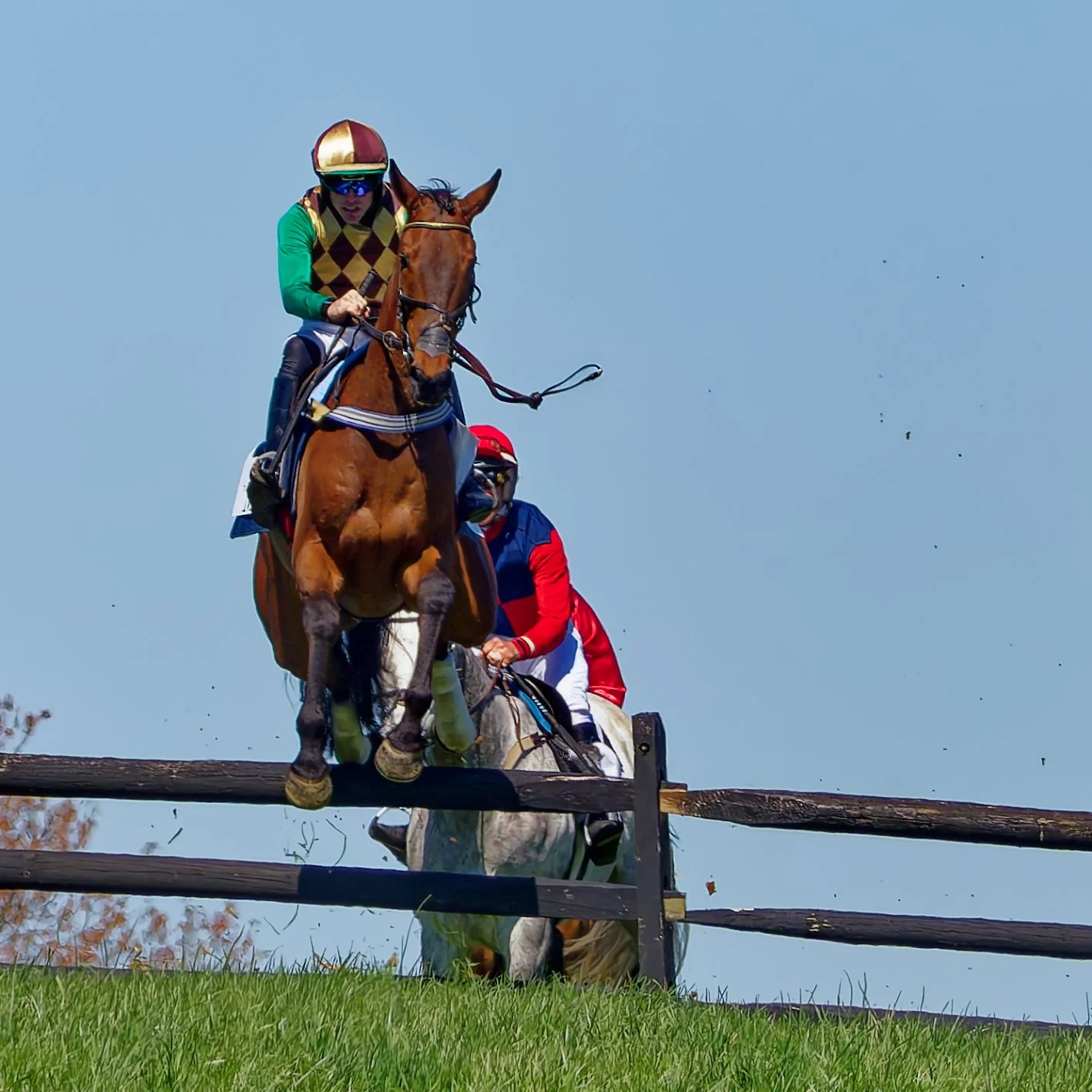 Two jockeys riding horses over a wooden fence during a race, with a clear blue sky in the background.
