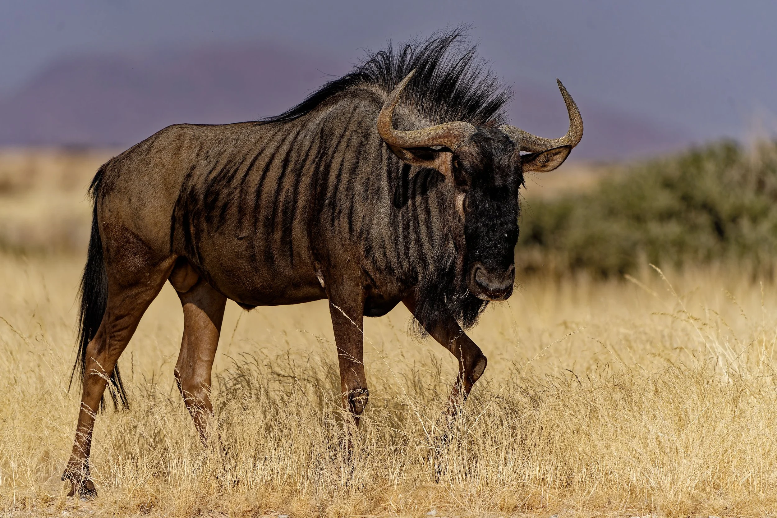Namibia 2025