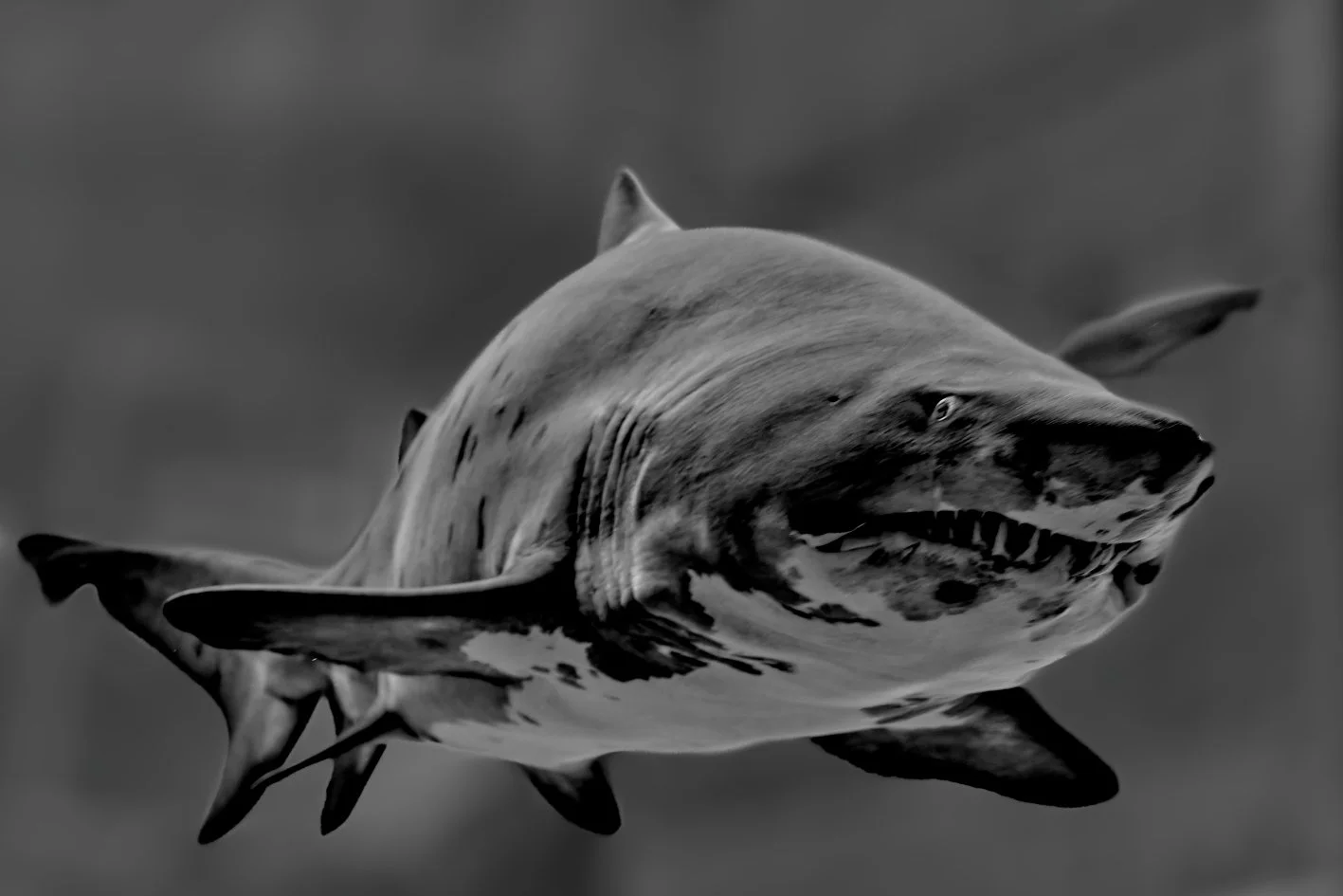 DSC05369_DxO.jpg