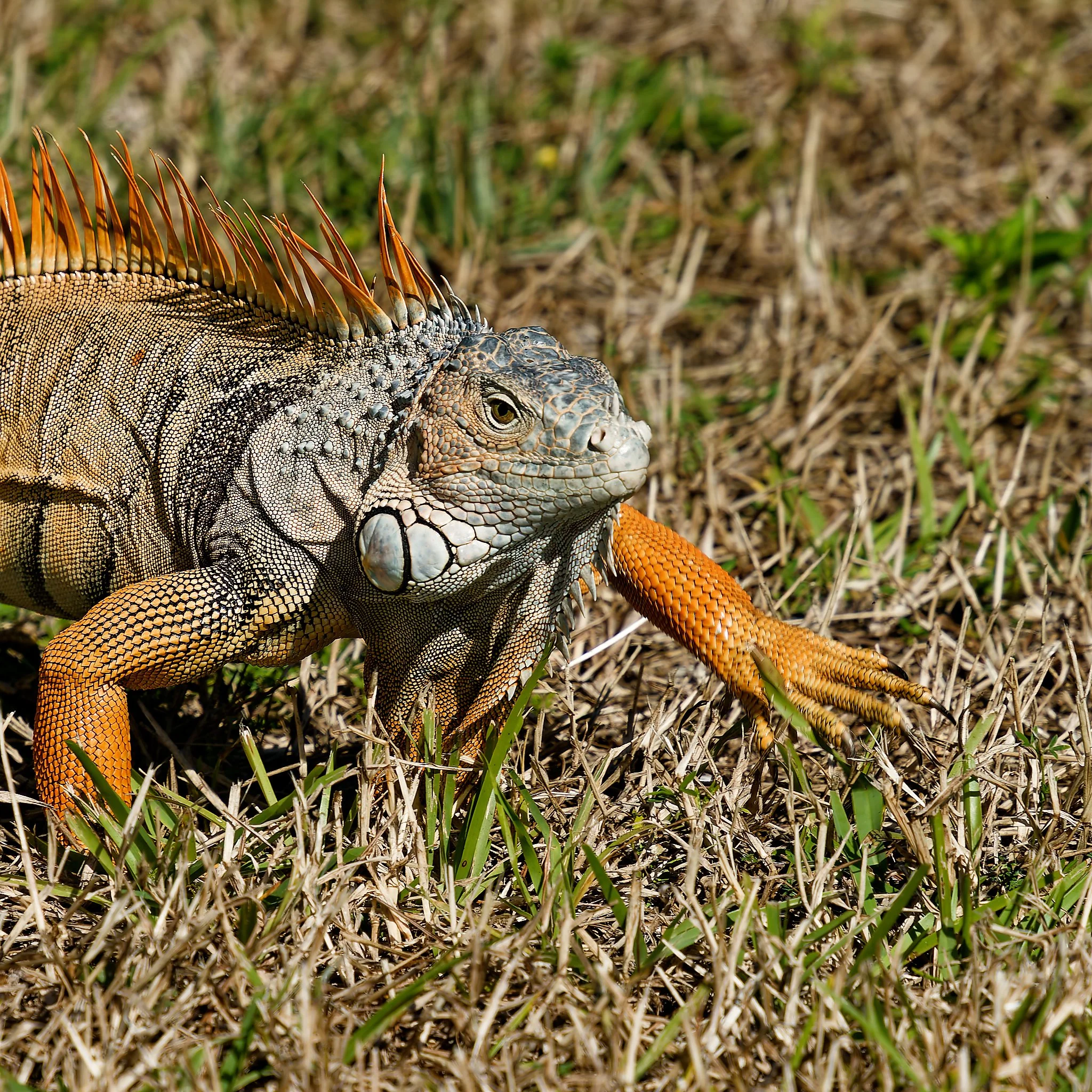 DSC01051_DxO.jpg