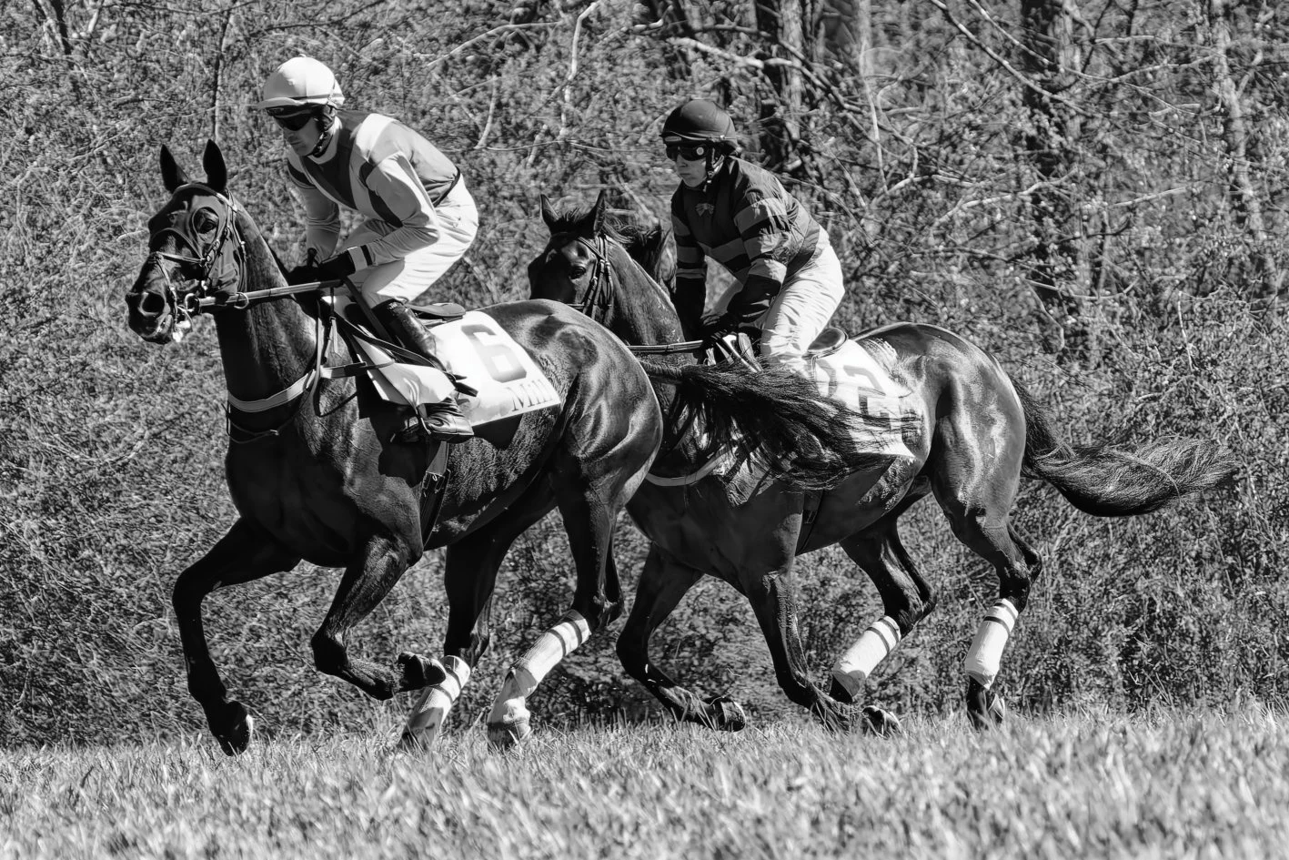 Two jockeys riding racehorses on a grassy track, with trees in the background, in a black and white photo.