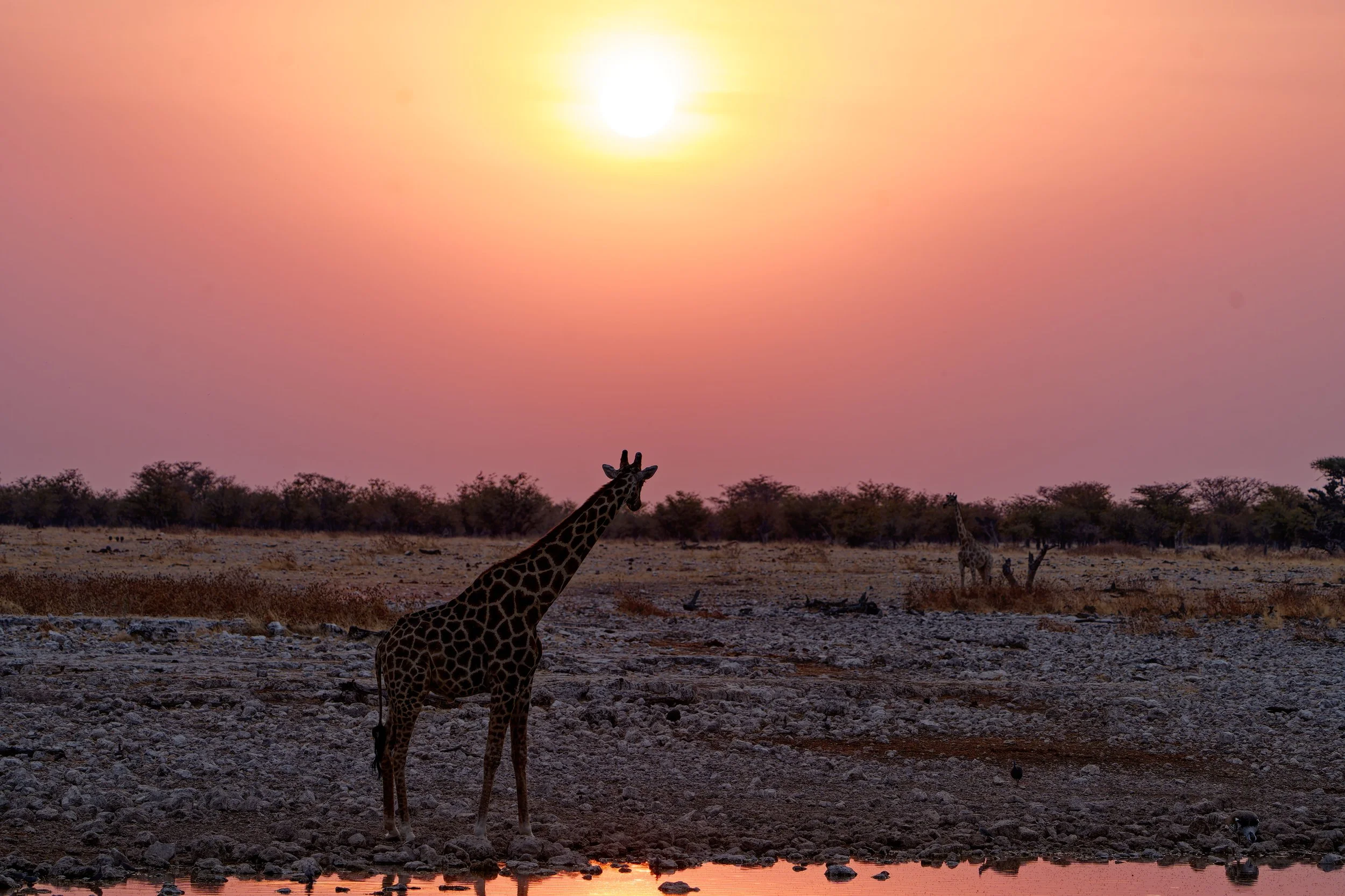 Namibia-2025_3283_DxO.jpg