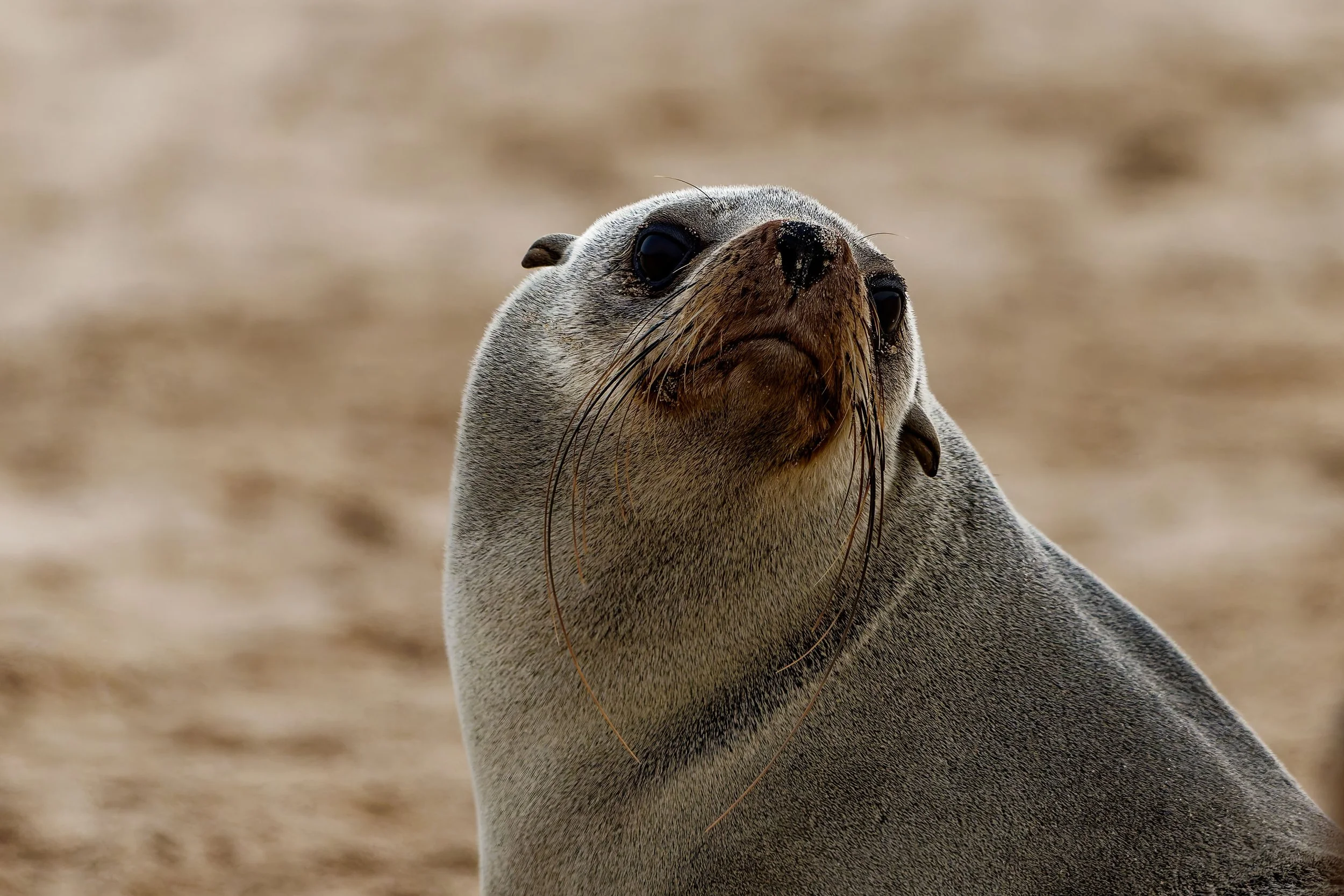 Namibia-2025_1201_DxO.jpg