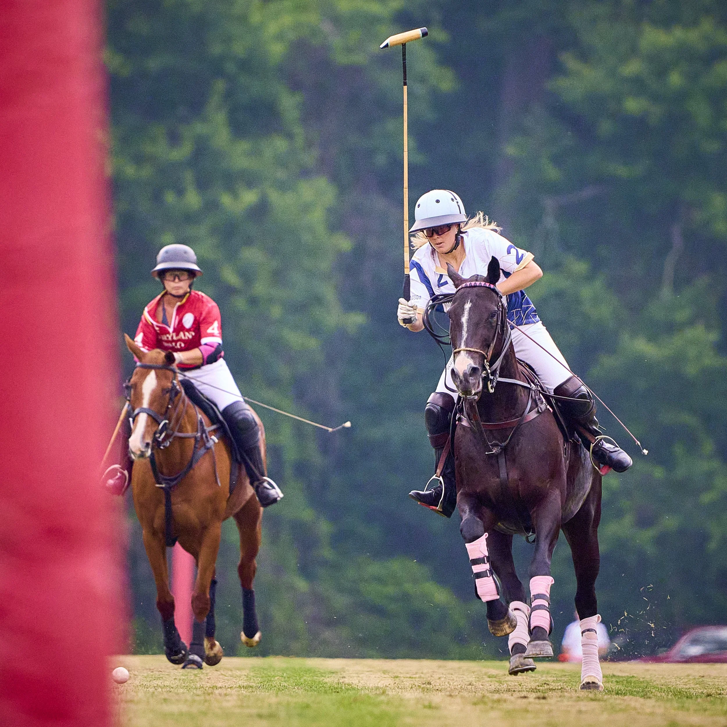 MS-My Lady's Manor Steeplechase Exhibition 6-14-25 146.jpg