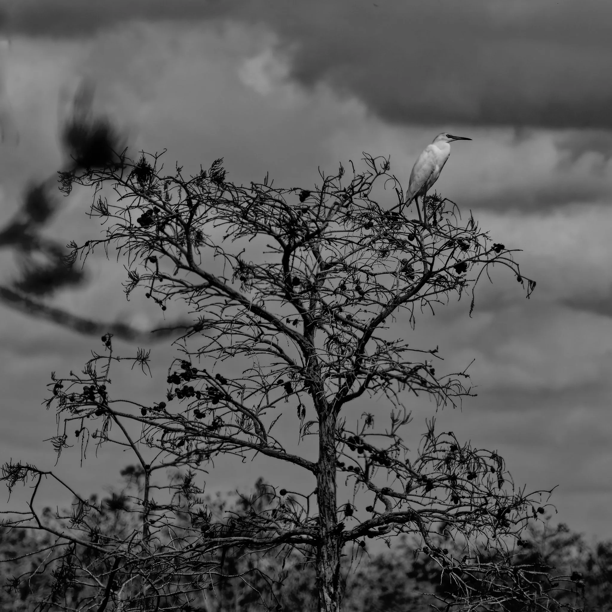 DSC00846_DxO.jpg