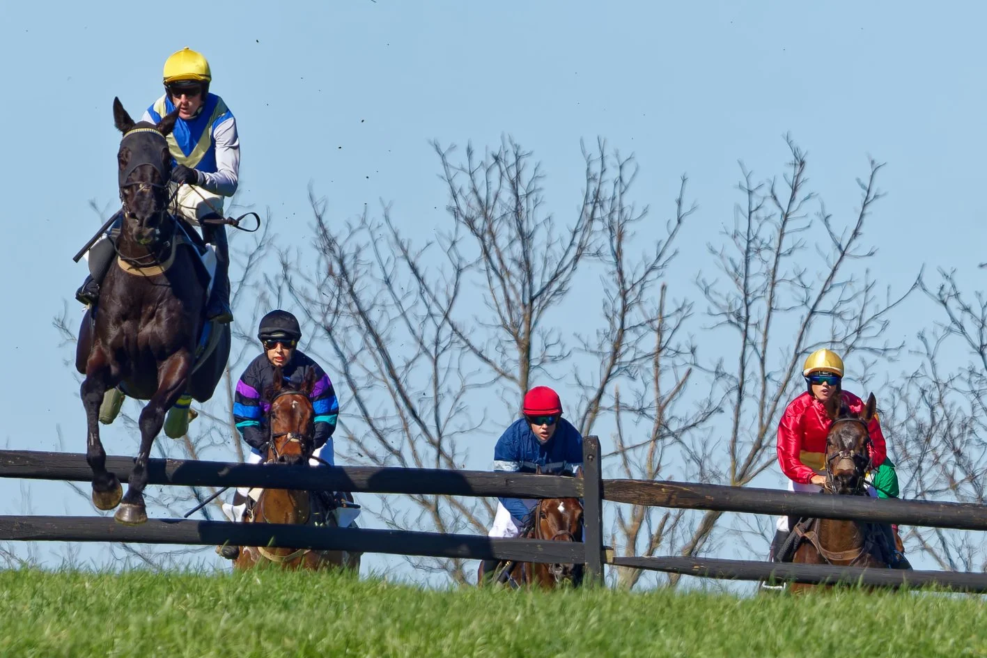 Horse race with four jockeys riding their horses on a grassy track, light blue sky, bare trees in the background, and wooden railings along the track.
