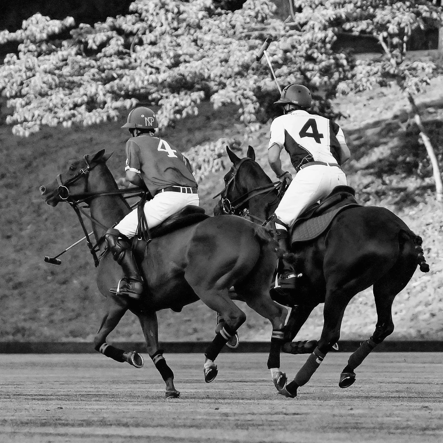 2026 David Silvestre Memorial