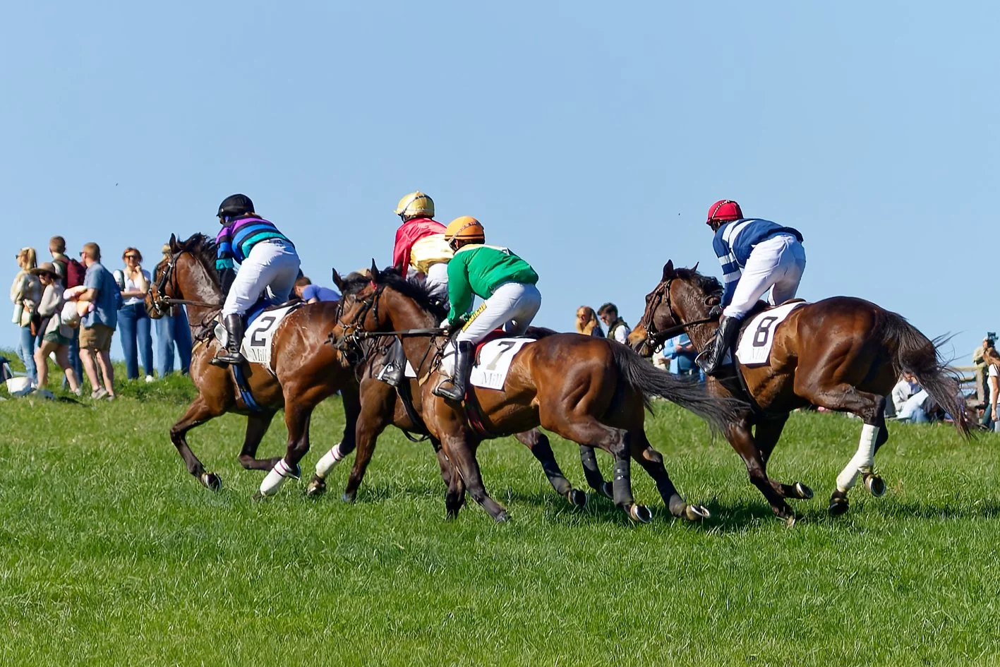 Horse race with four jockeys riding their horses on a grassy track, spectators watching from the side under a clear blue sky.