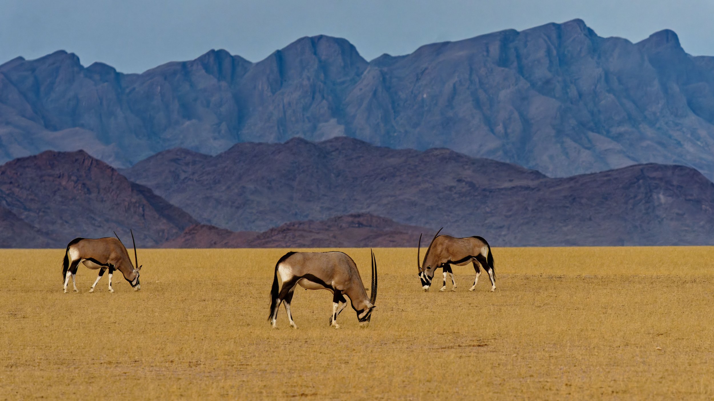 Namibia-2025_401_DxO.jpg