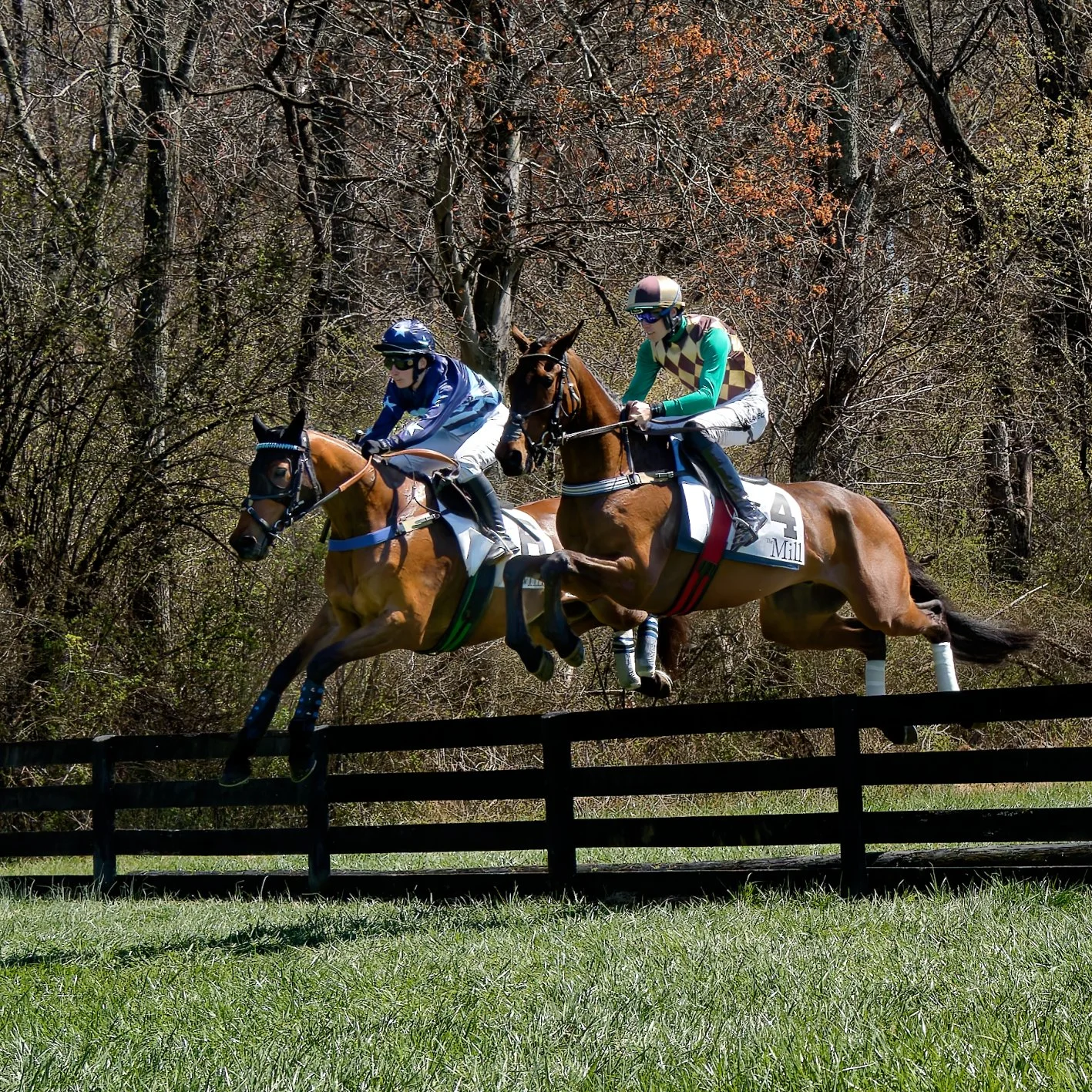Two racehorses and jockeys jumping over a black fence during a horse race in a wooded area.