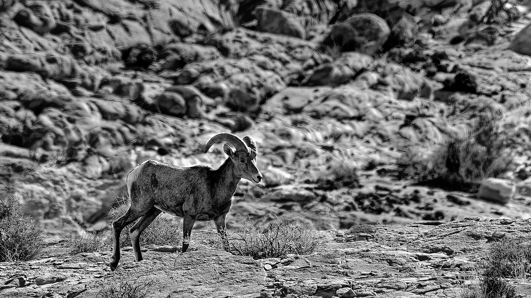 DSC03444_DxO_1.jpg