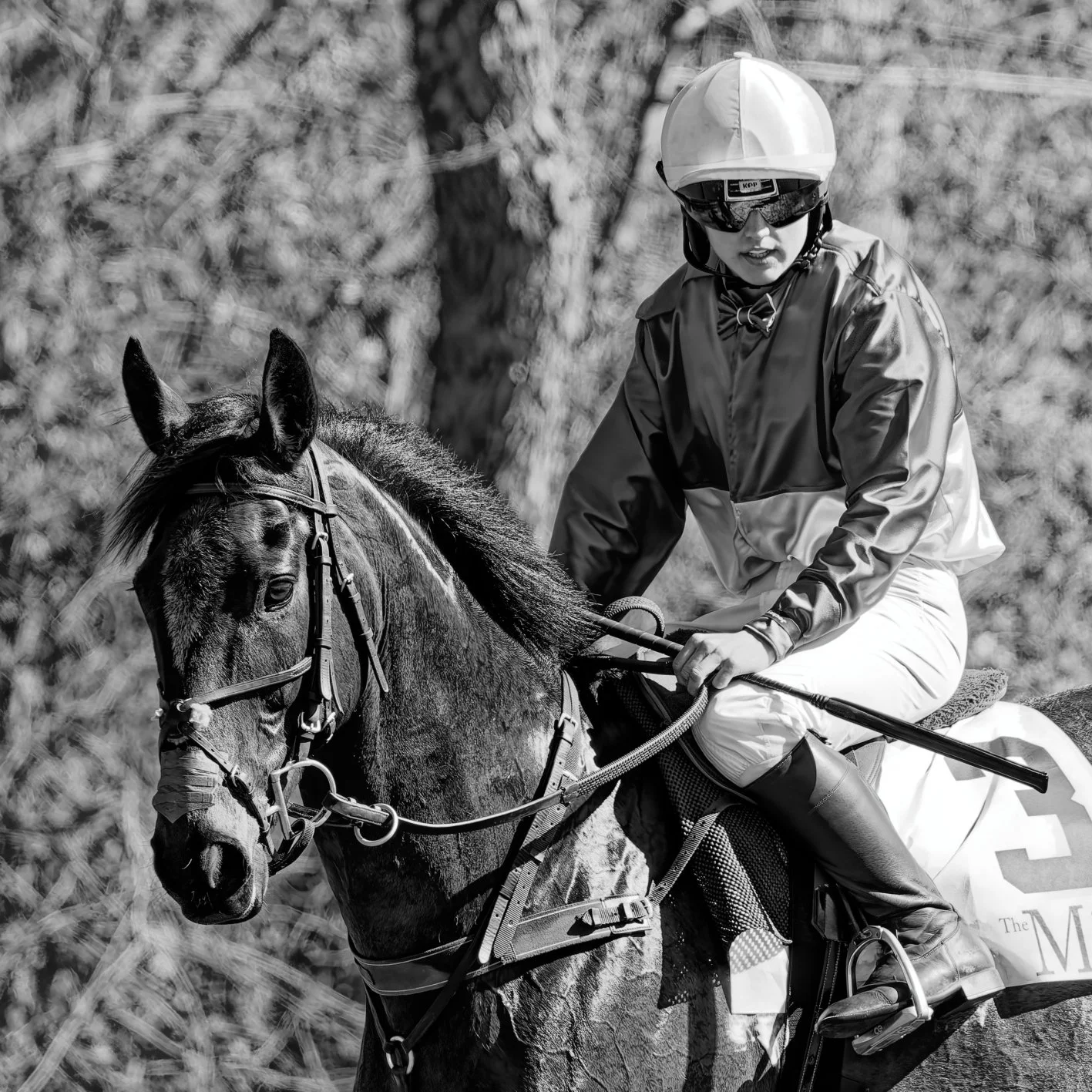 Black and white photo of a horse with a rider wearing a helmet and sunglasses, riding outdoors in front of trees.