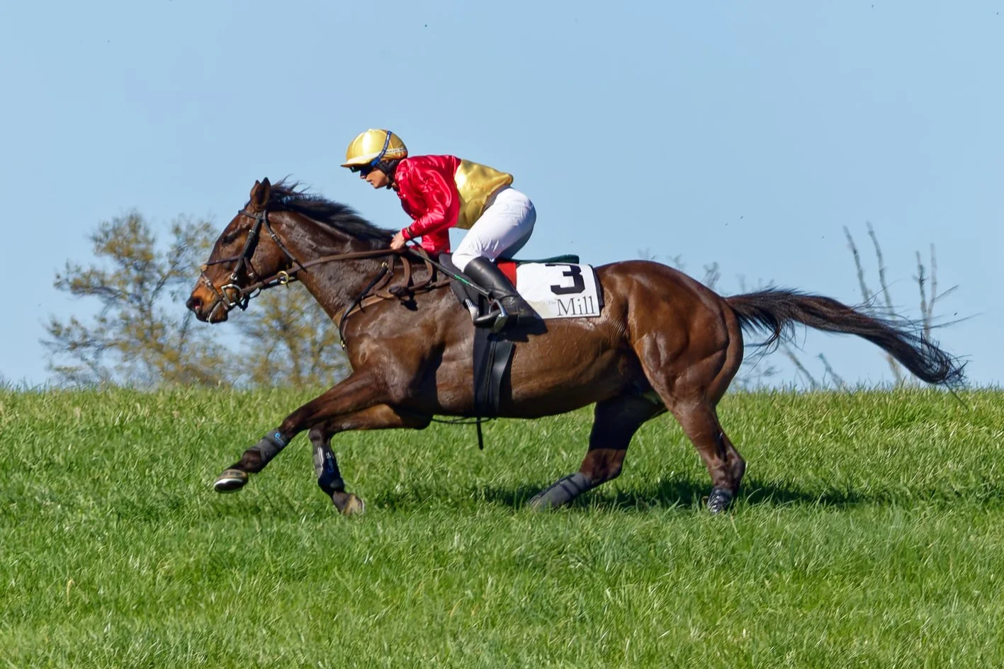 A jockey riding a brown racehorse on a grassy field, wearing a red and yellow outfit with a yellow helmet, during a horse race.