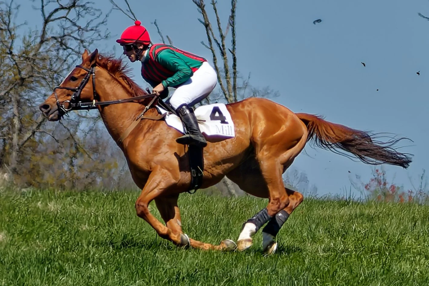 A jockey wearing a red helmet and green and red attire riding a chestnut horse during a horse race on a grassy field.