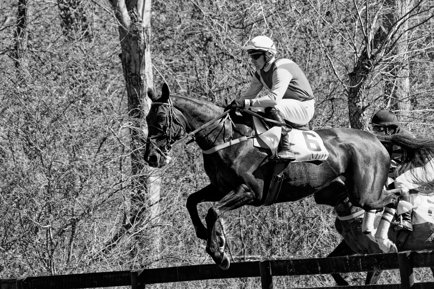 A jockey riding a horse during a race in a wooded area.