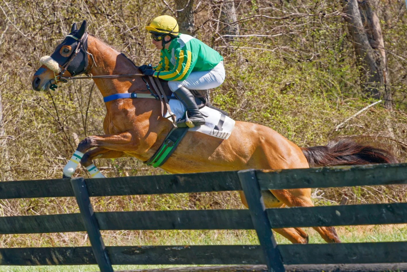 Jockey riding a galloping horse with a black fence in the foreground and trees in the background.