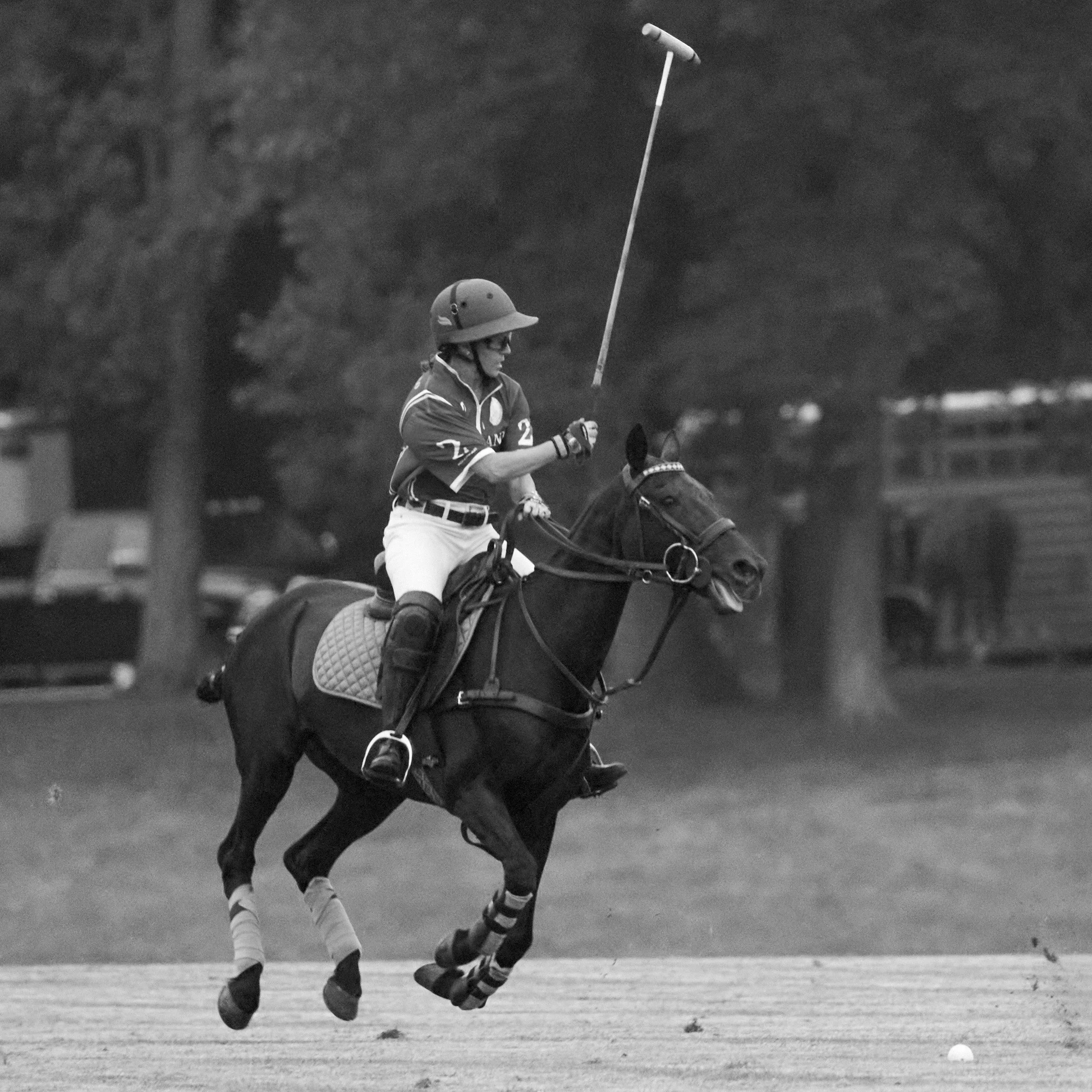 MS-My Lady's Manor Steeplechase Exhibition 6-14-25 21.jpg