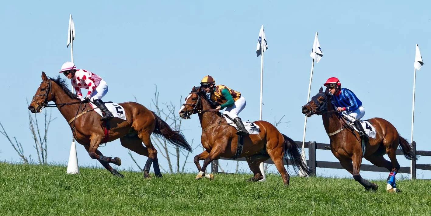 Three jockeys riding racehorses on a grassy track with white flags in the background.