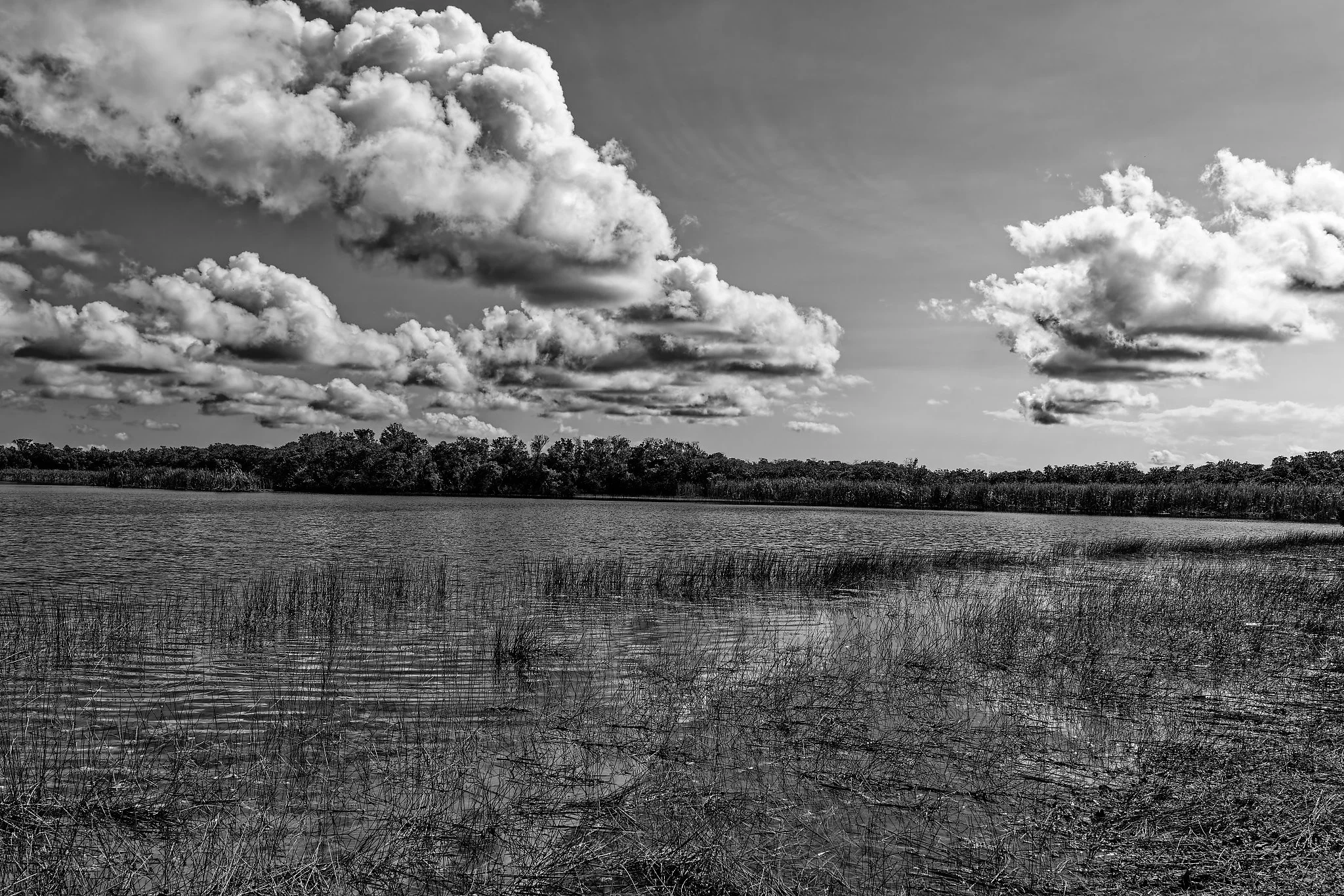 DSC00867_DxO.jpg