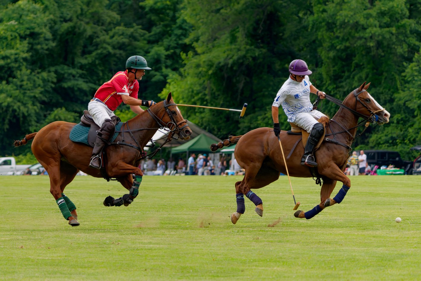 DSC00626MS-FPM.jpg