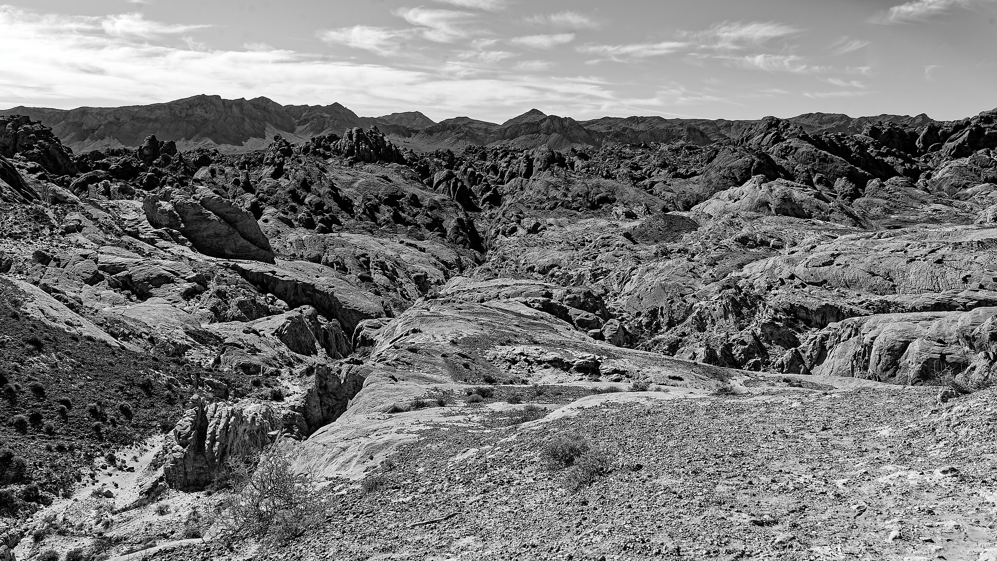 DSC03495_DxO_1.jpg