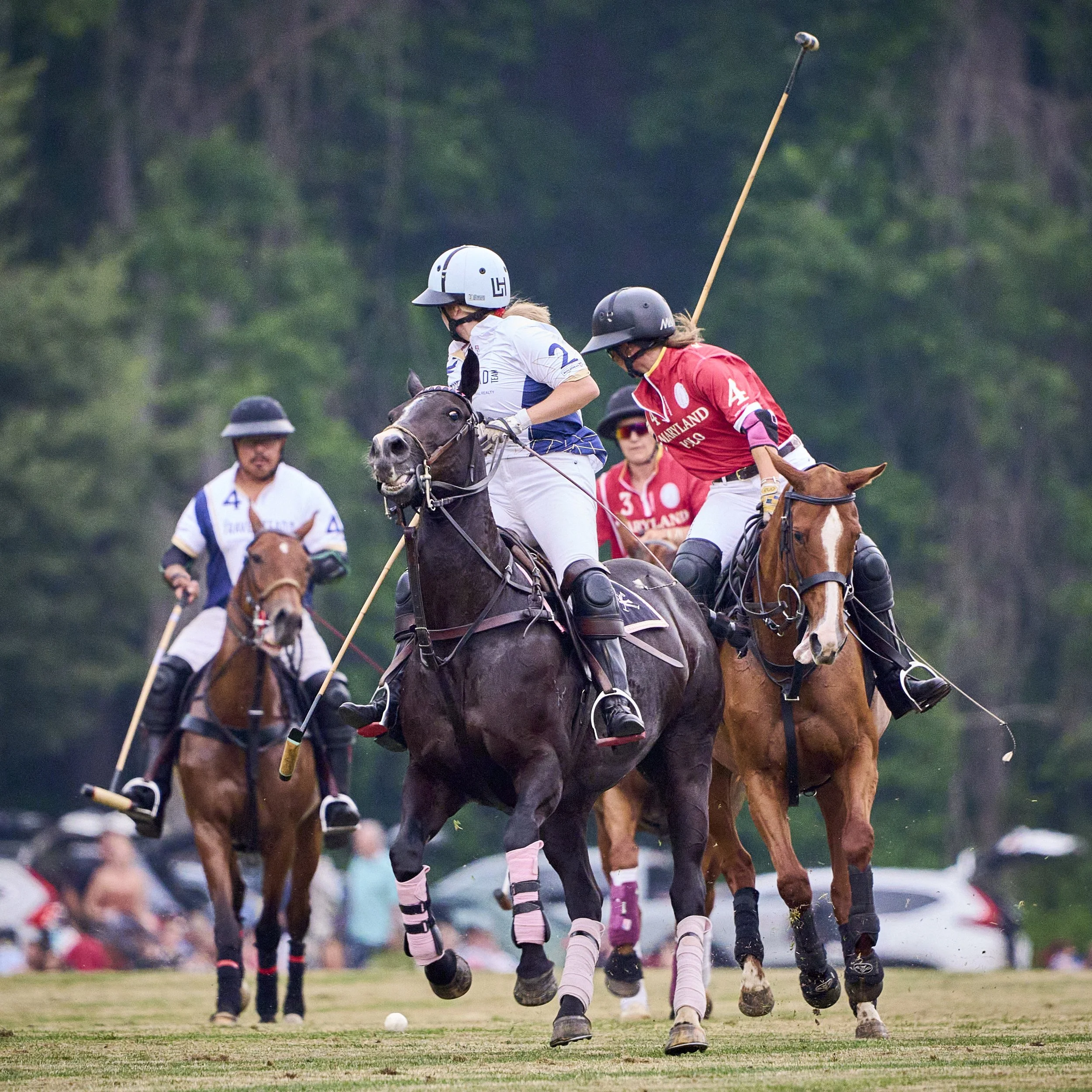 MS-My Lady's Manor Steeplechase Exhibition 6-14-25 171.jpg