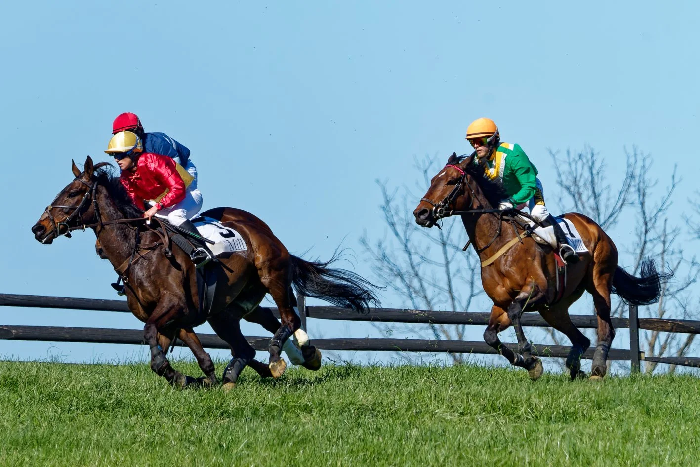 Two jockeys riding racehorses during a horse race on a grassy track, with a wooden fence and leafless trees in the background.