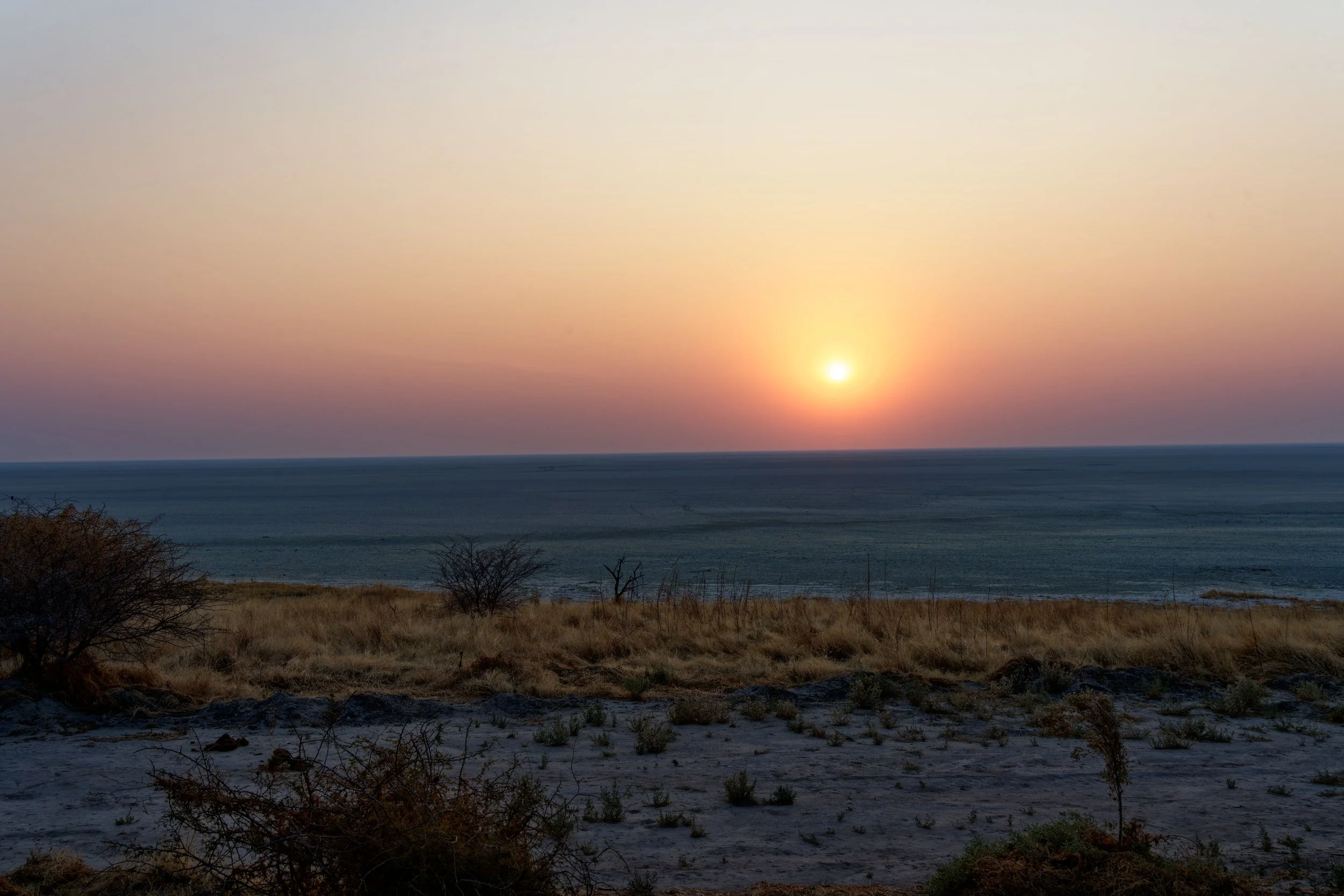 Namibia-2025_2945_DxO.jpg