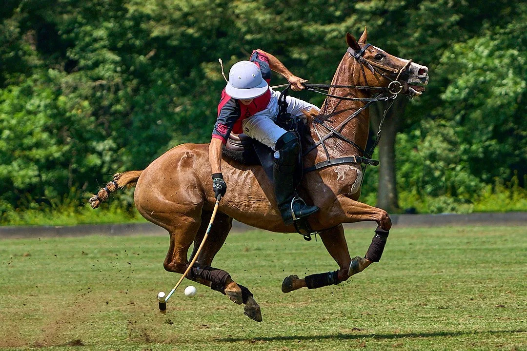 Congressional Cup Final