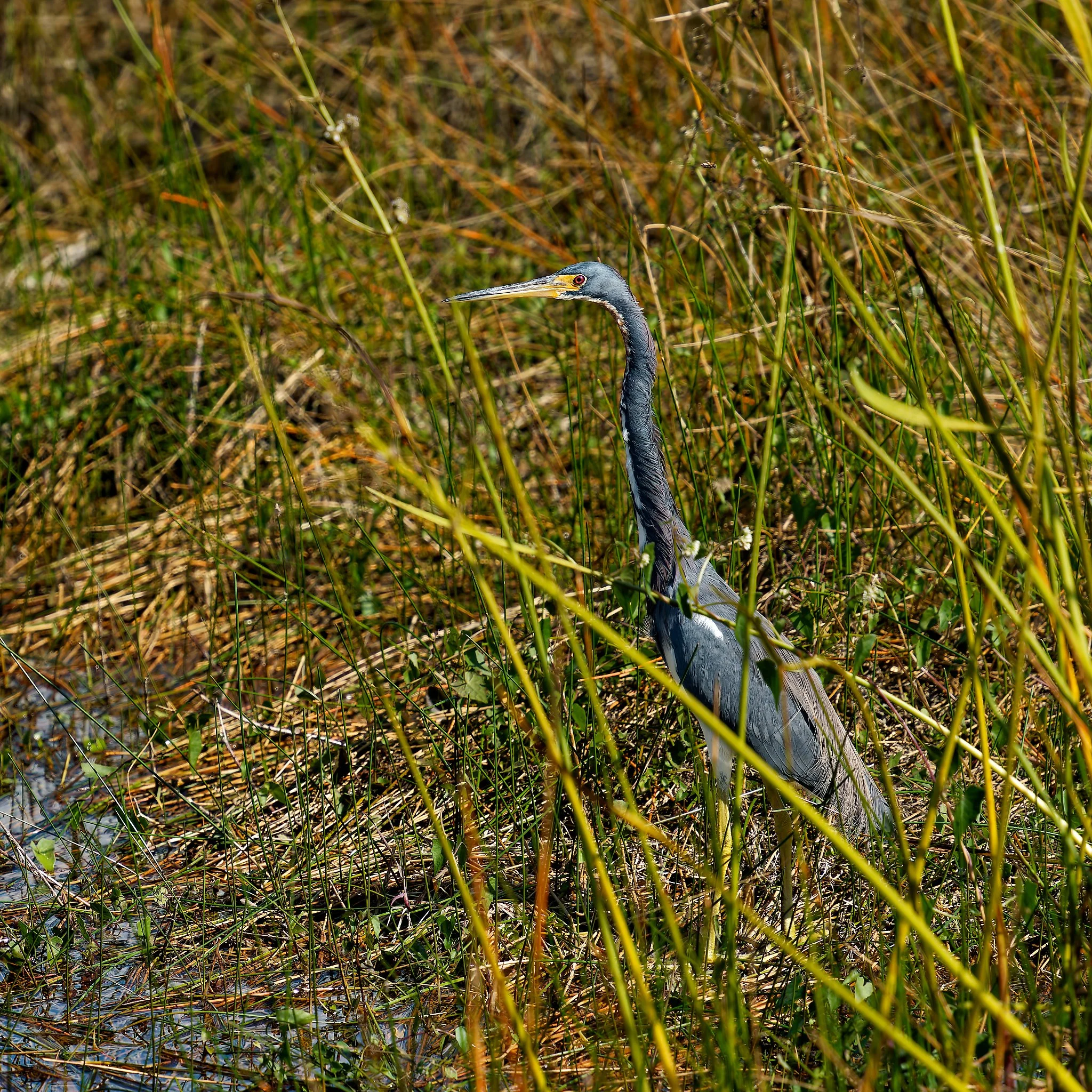 DSC00839_DxO.jpg