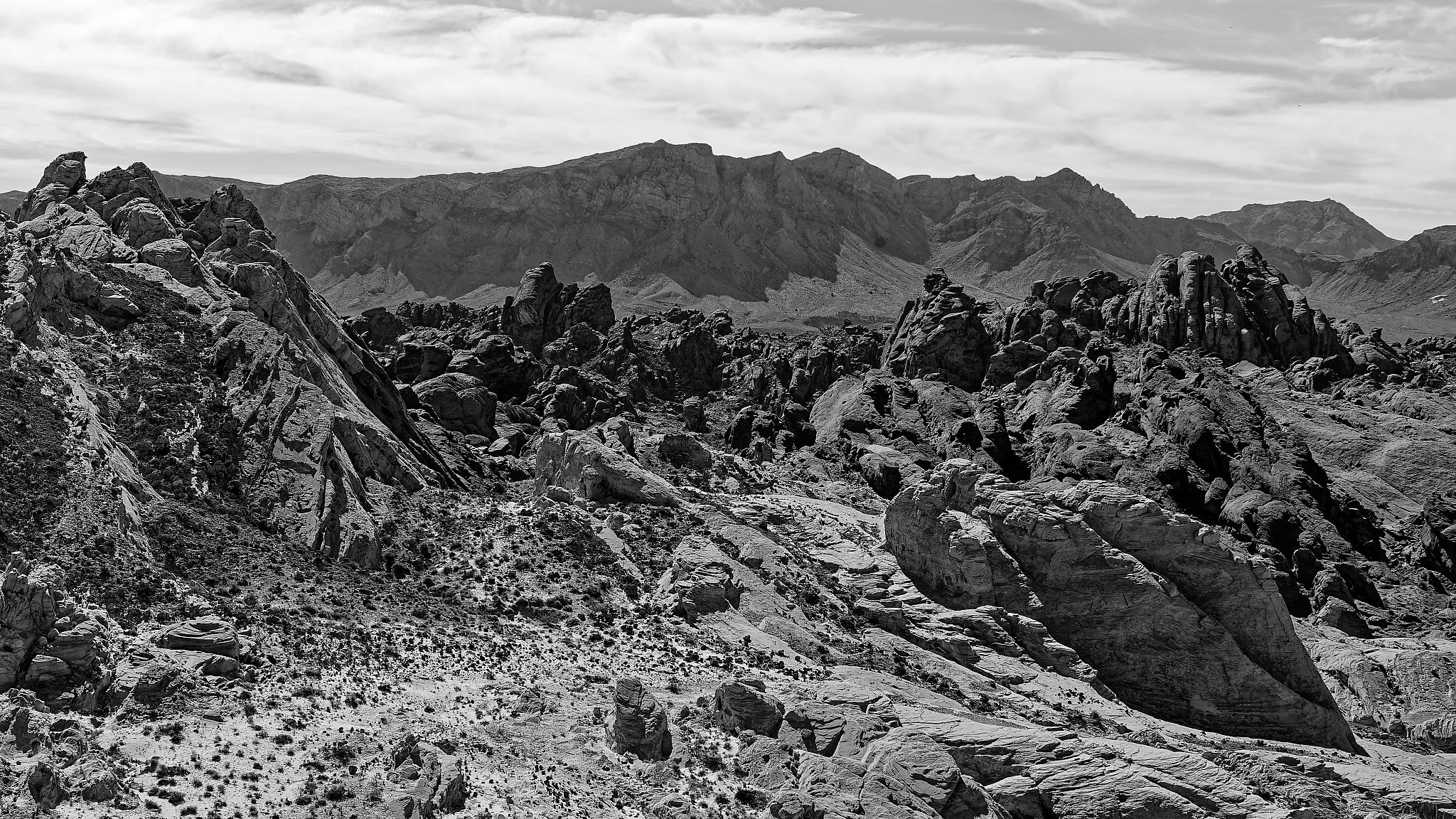 DSC03501_DxO_1.jpg