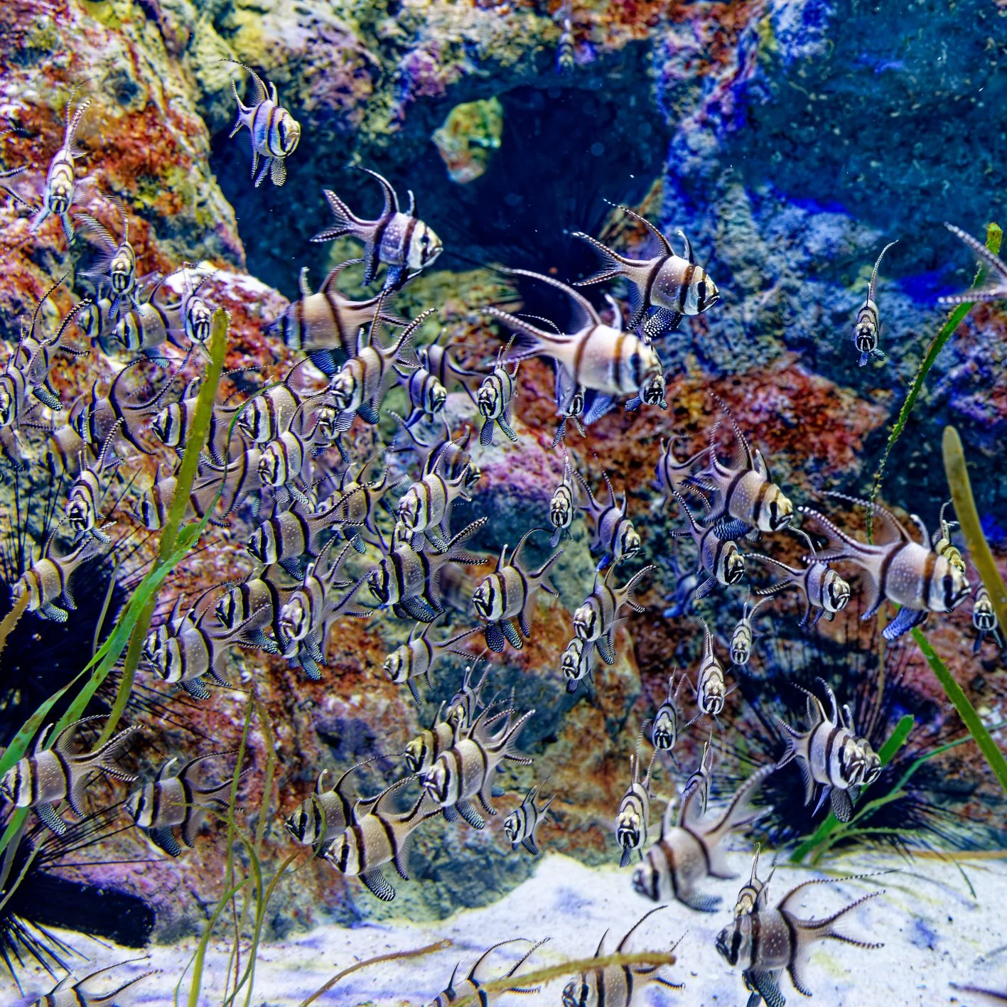 DSC05563_DxO.jpg