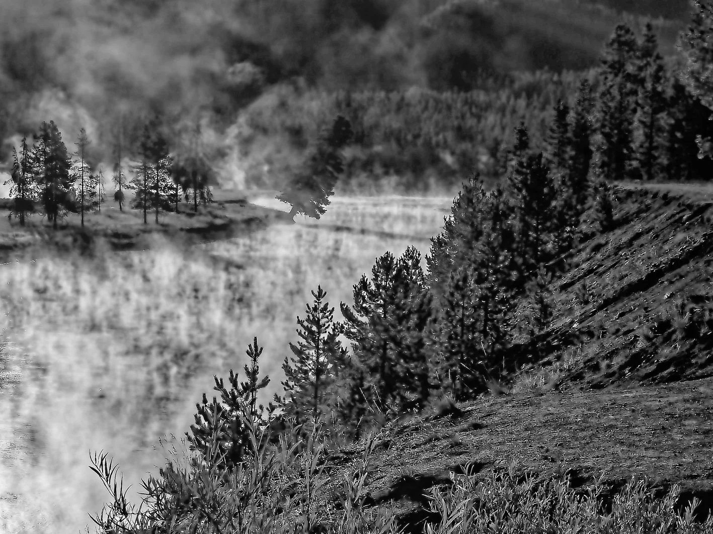 20260904_081350(1).jpg