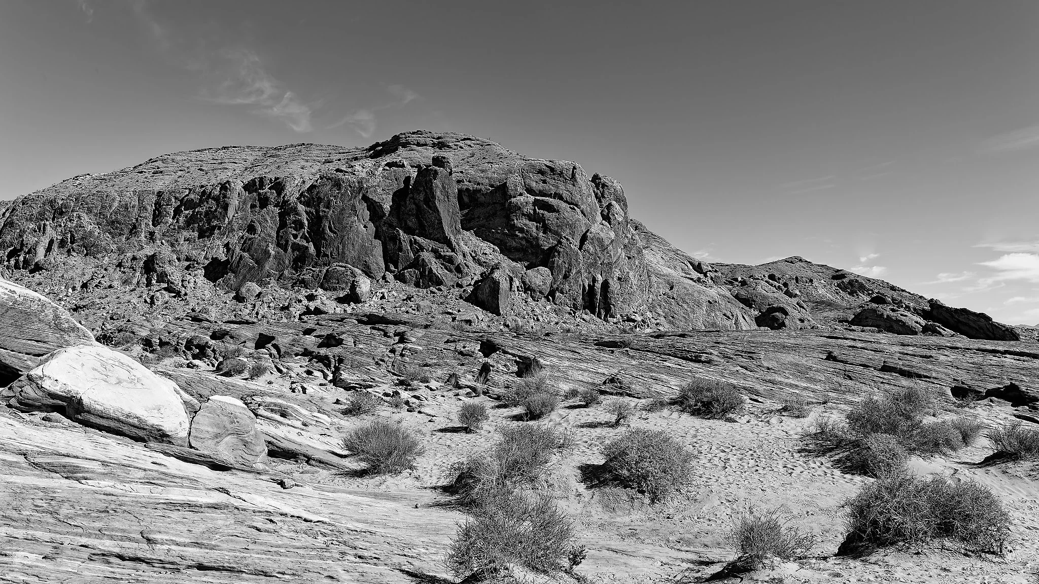 DSC03508_DxO.jpg