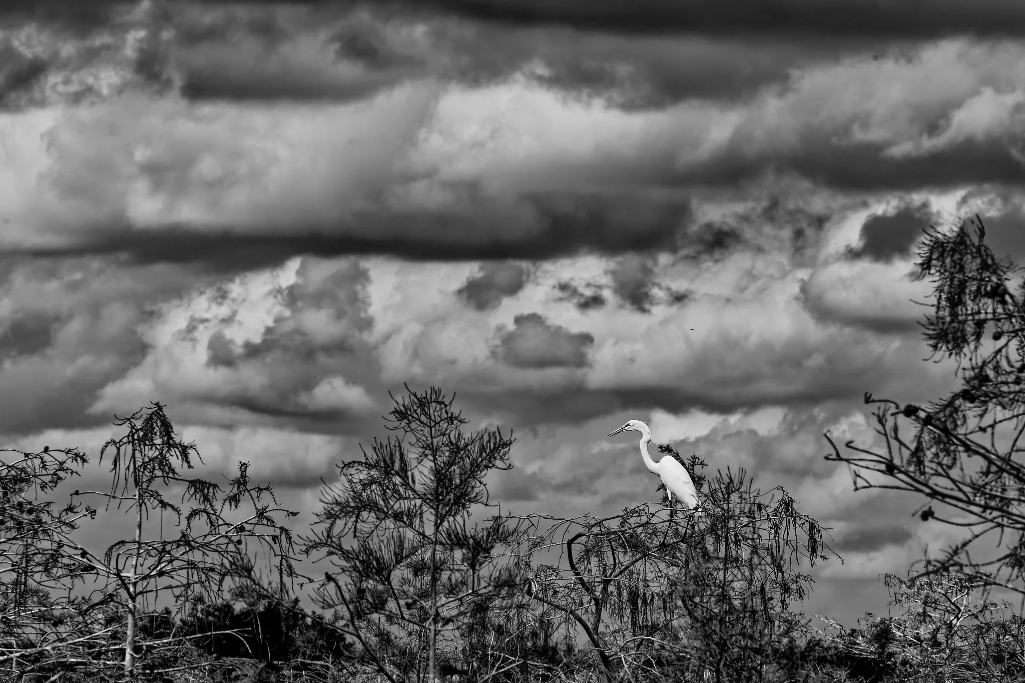 DSC00864_DxO.jpg