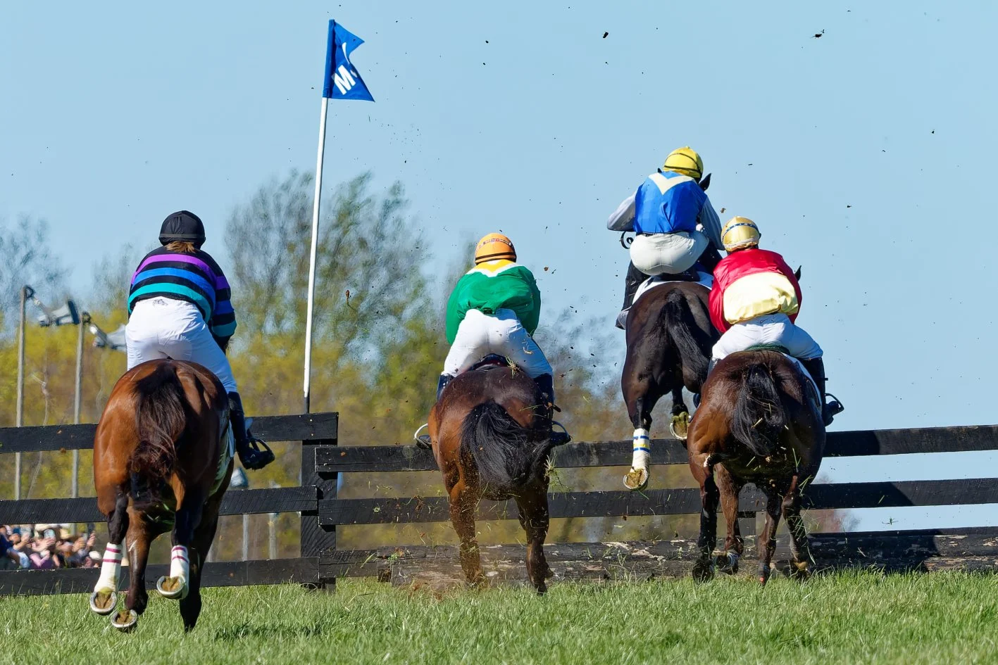 Four jockeys riding horses over a wooden obstacle during a steeplechase race on a grassy field with a blue sky and a flag in the background.