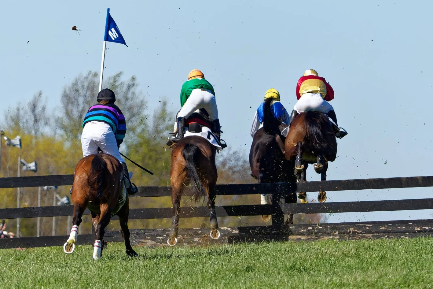 Jockeys riding horses over a fence during a steeplechase horse race.