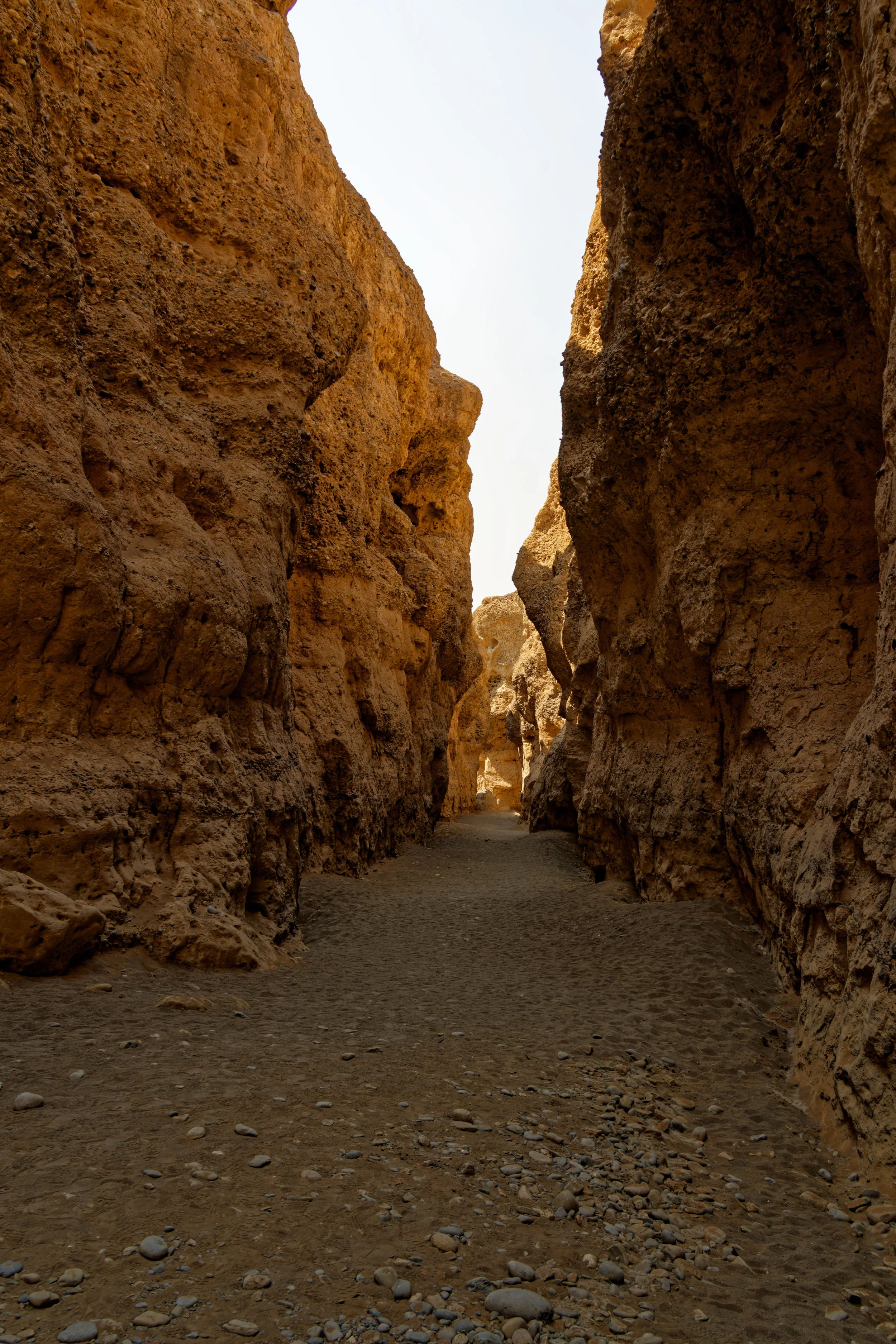 Namibia-2025_205_DxO.jpg