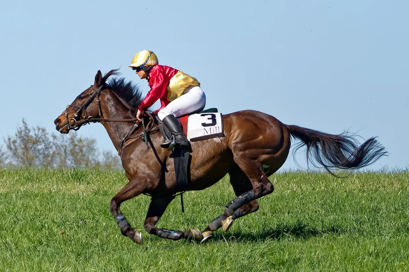 A jockey riding a brown racehorse on a grassy field during a horse race, wearing a red and yellow helmet and jacket, white pants, and black boots.