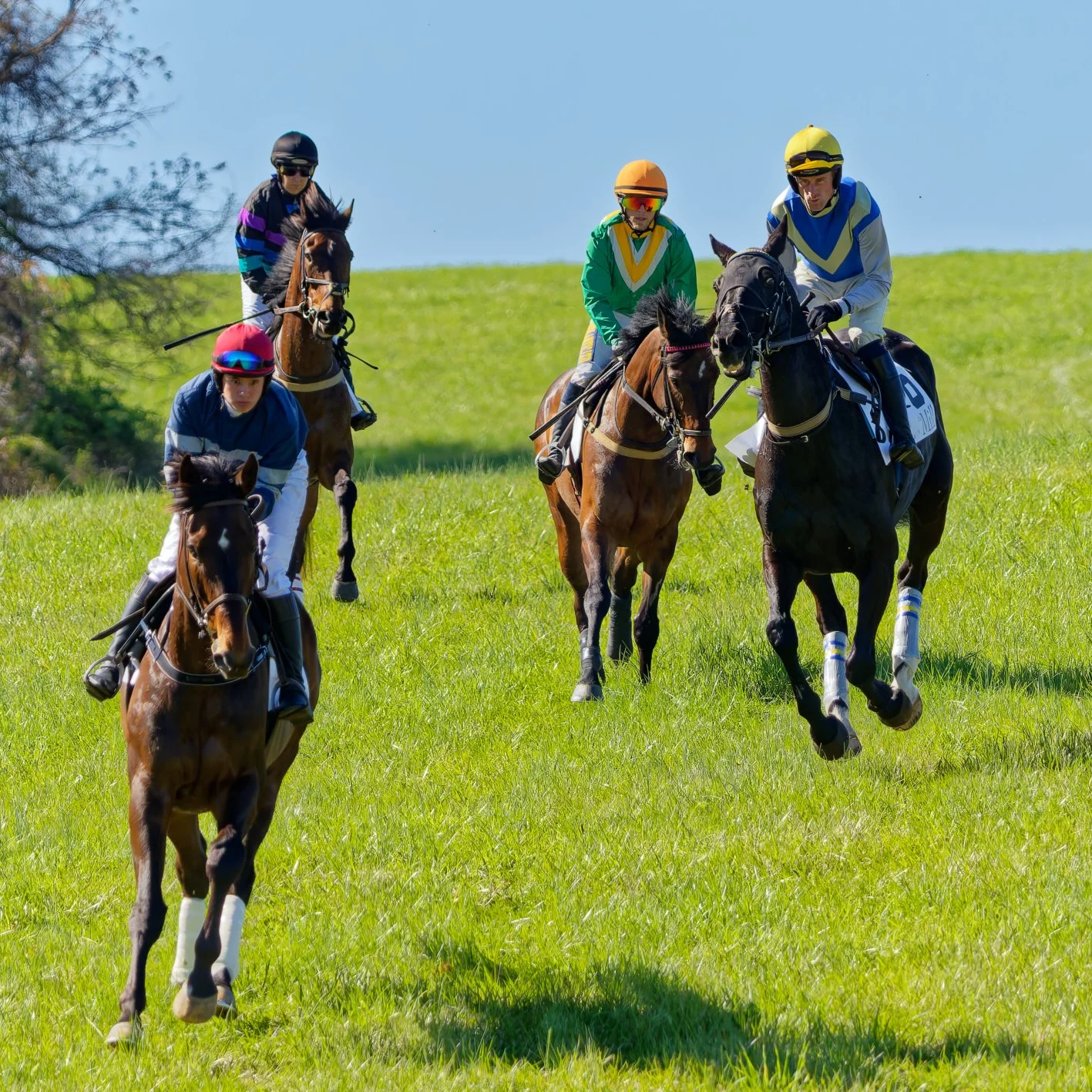 Group of five jockeys riding horses in a grassy field during a horse race.