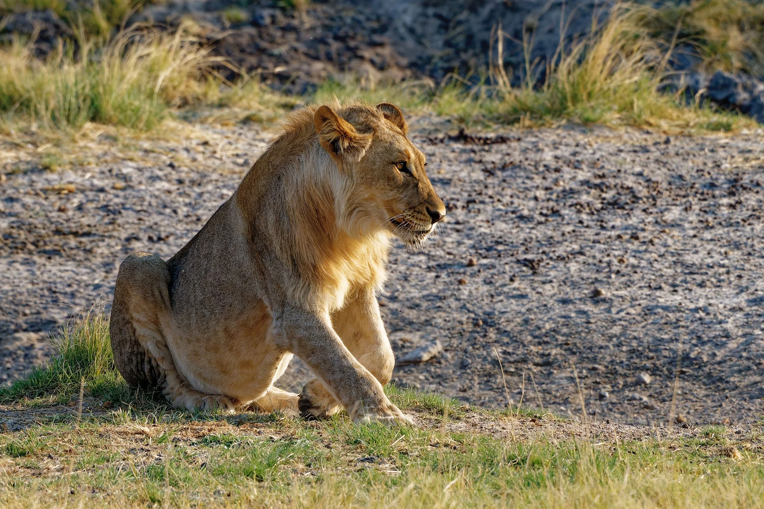 Namibia-2025_2892_DxO.jpg