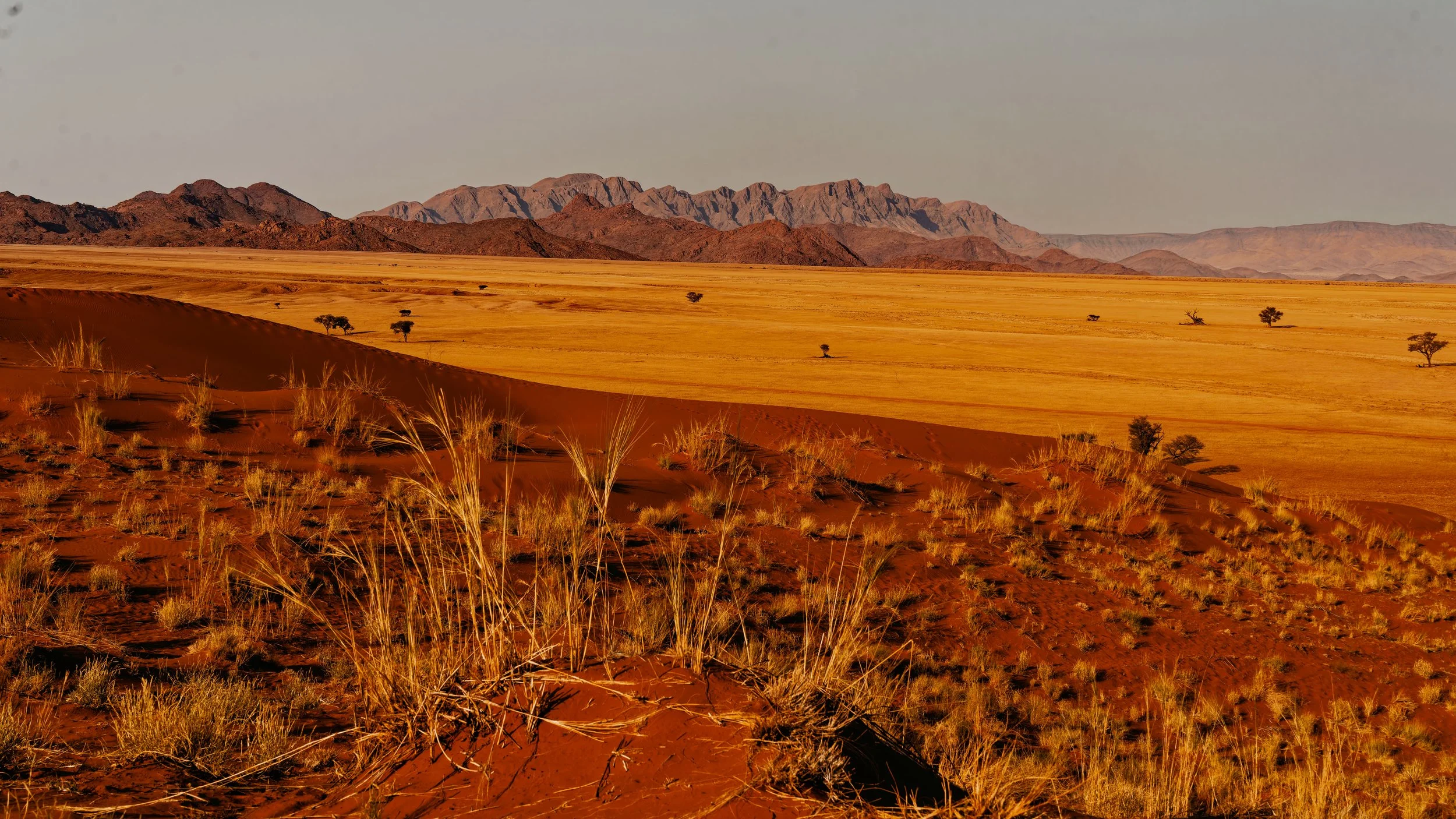 Namibia-2025_285_DxO.jpg