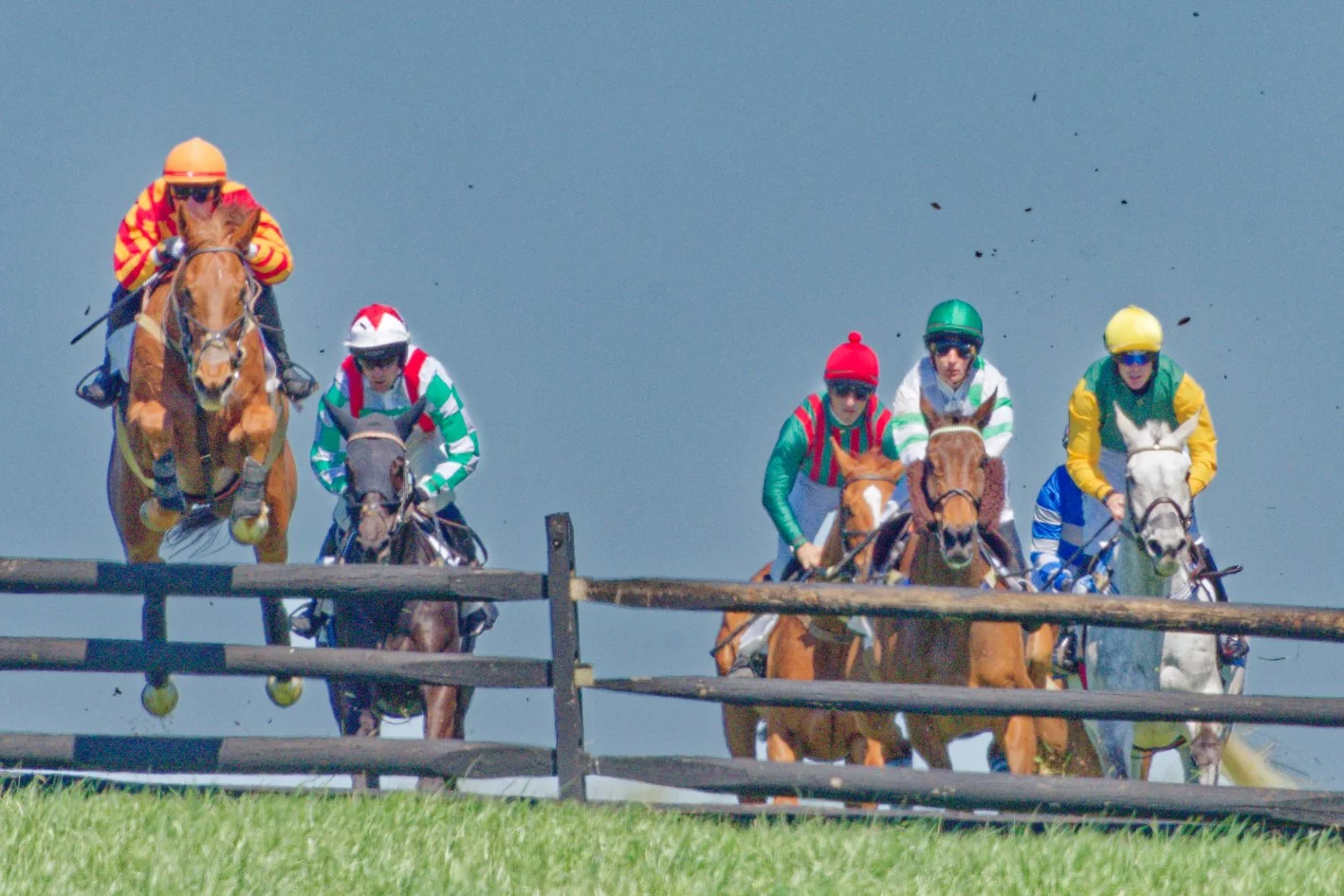Horse race with five horses and jockeys jumping over a fence, jockeys wearing colorful helmets and uniforms, in a race on a grassy track.