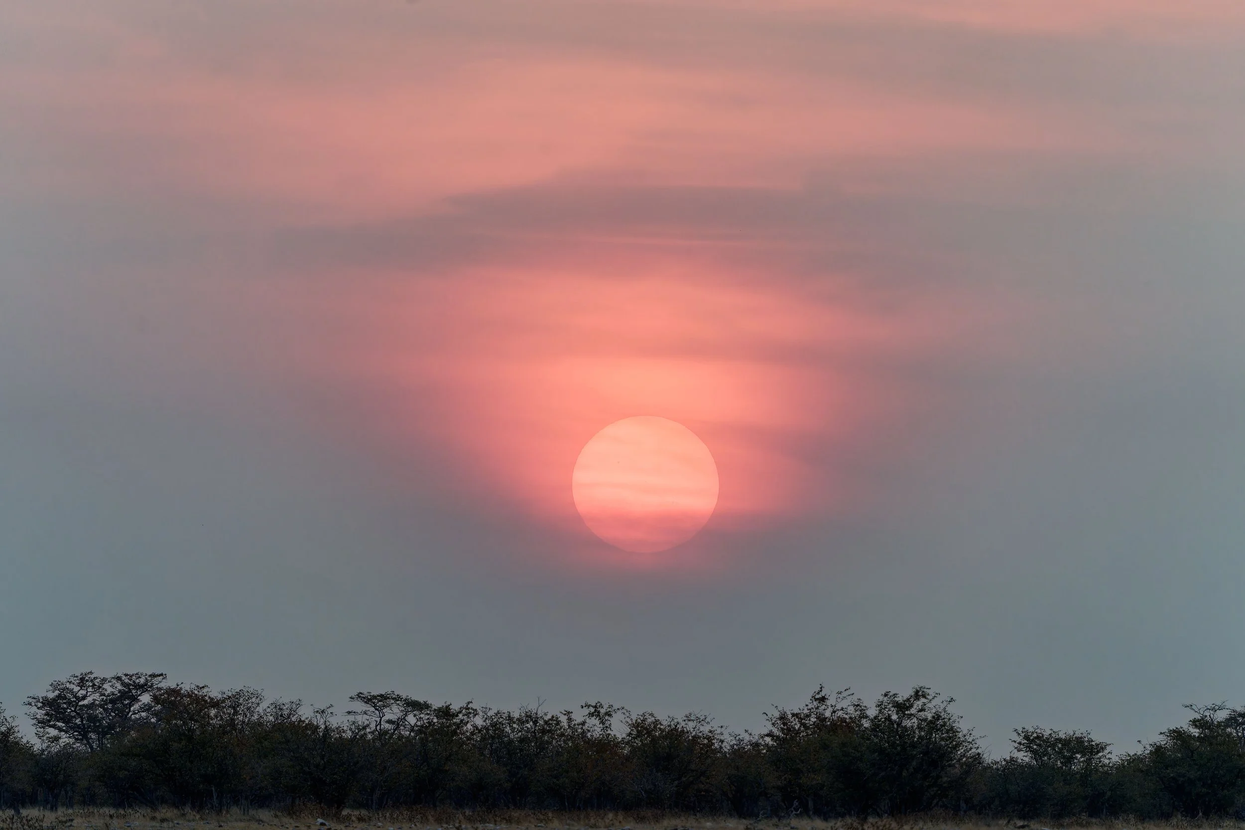 Namibia-2025_3315_DxO.jpg