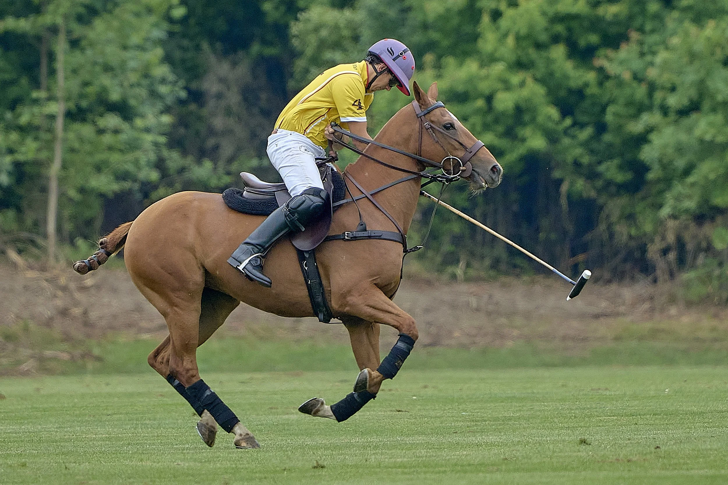 MS-Father's Day 46.jpg