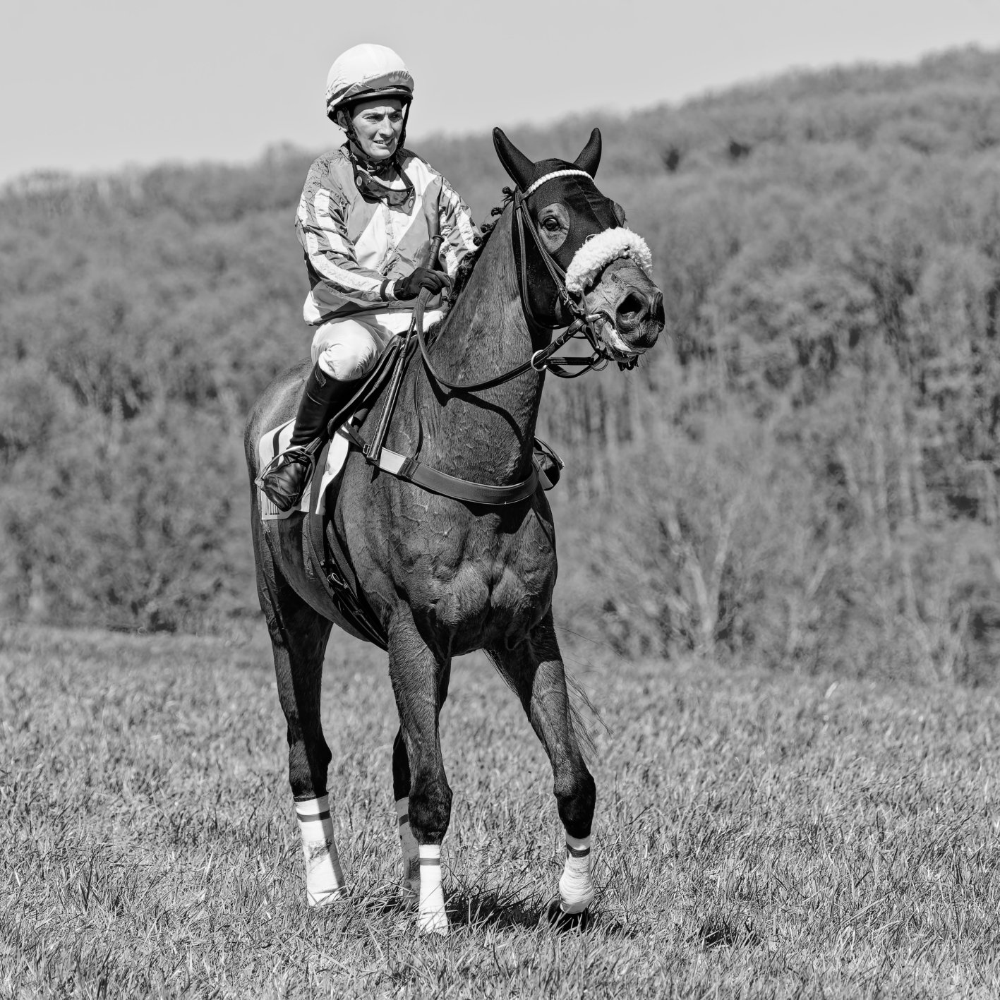 A jockey riding a horse on a grassy field with trees in the background, captured in black and white.